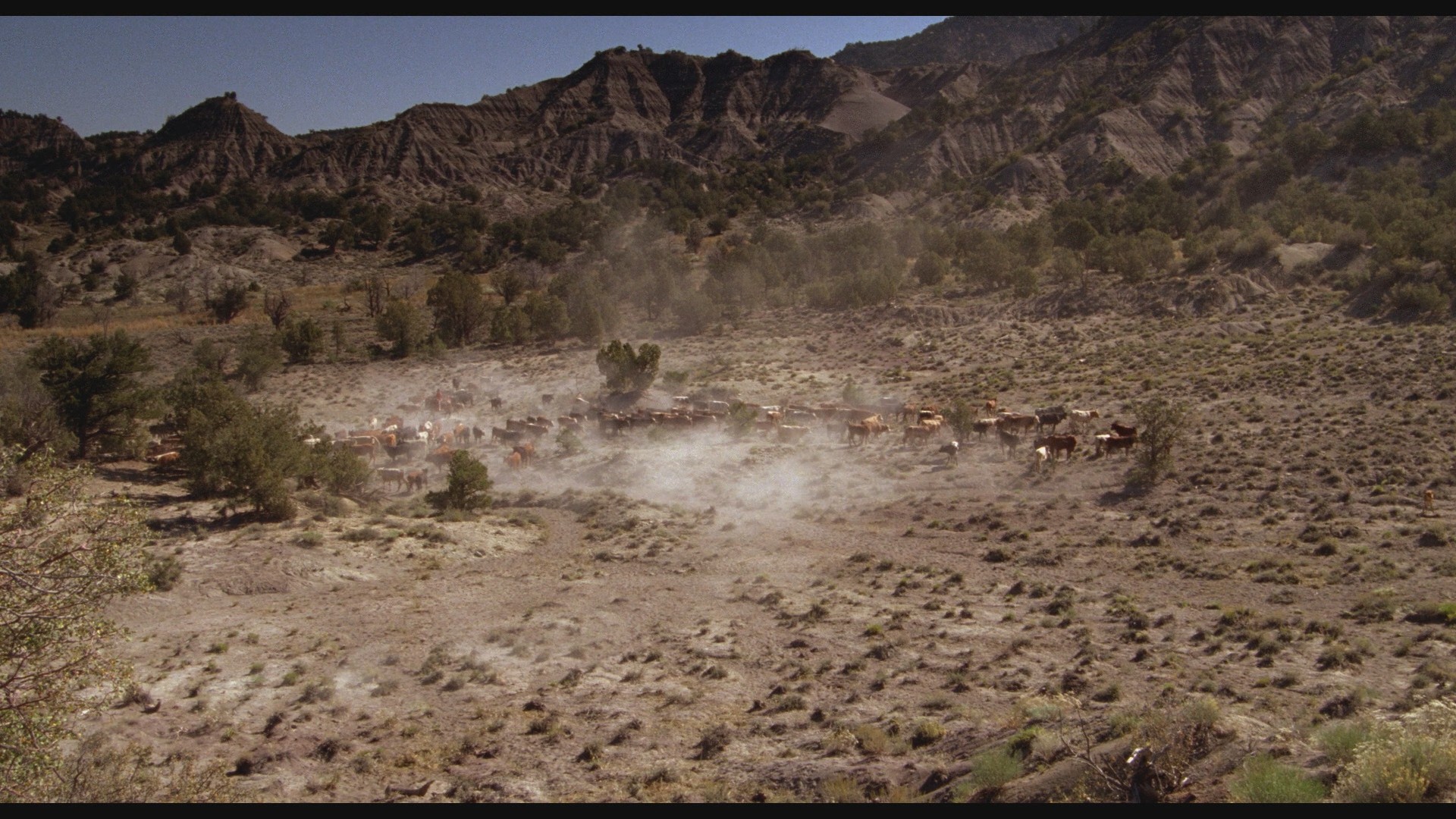 City Slickers (1991) —  shot,  lighting