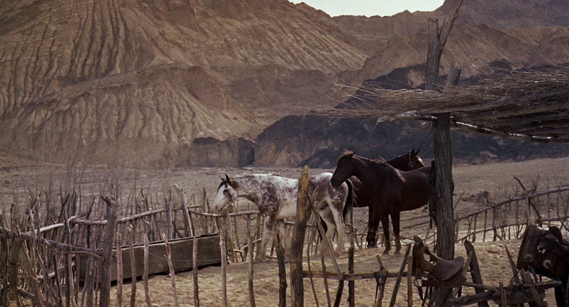 One-Eyed Jacks (1961) —  shot,  lighting