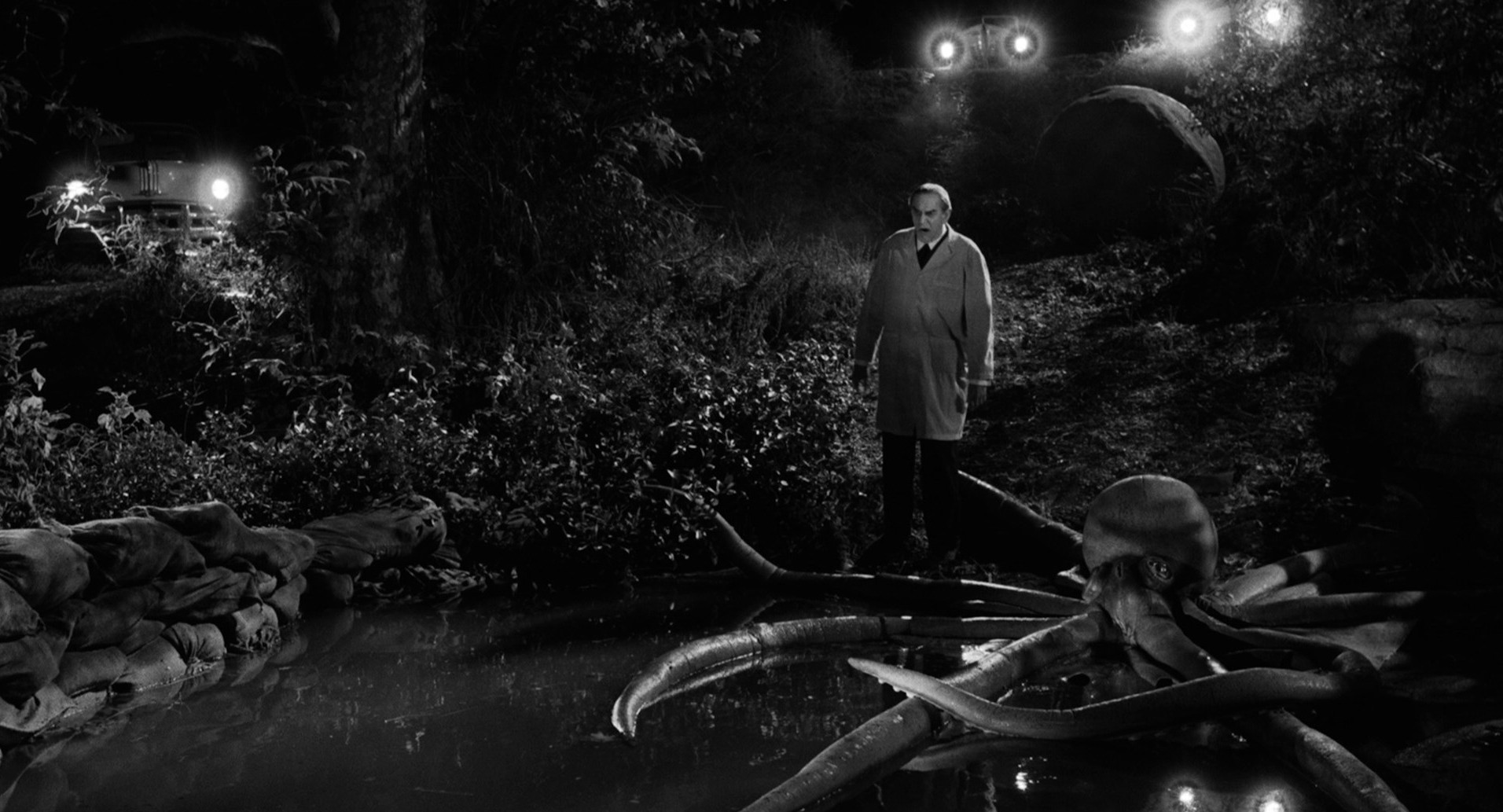 Ed Wood (1994) —  shot,  lighting