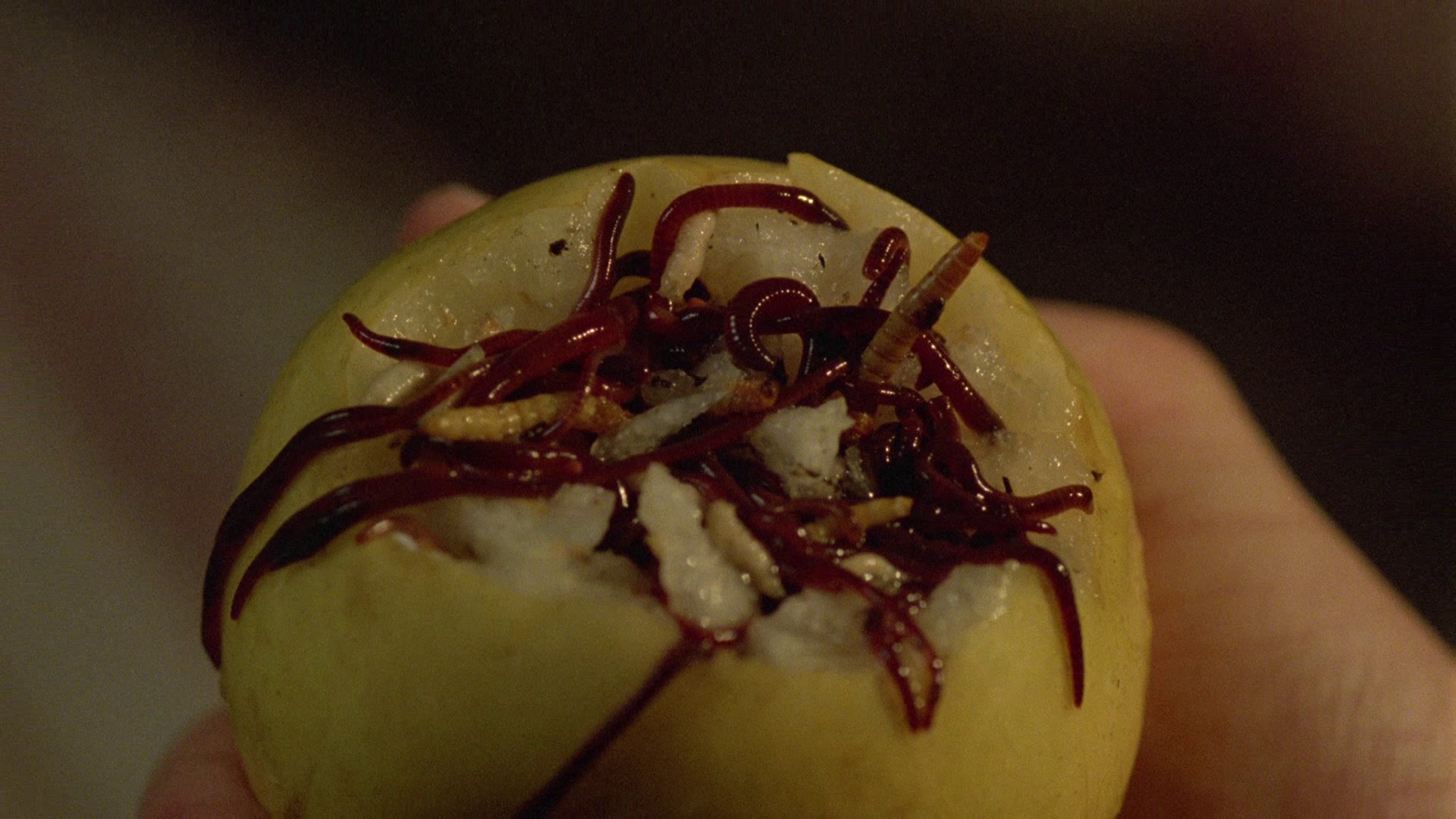 Society (1989) —  shot,  lighting