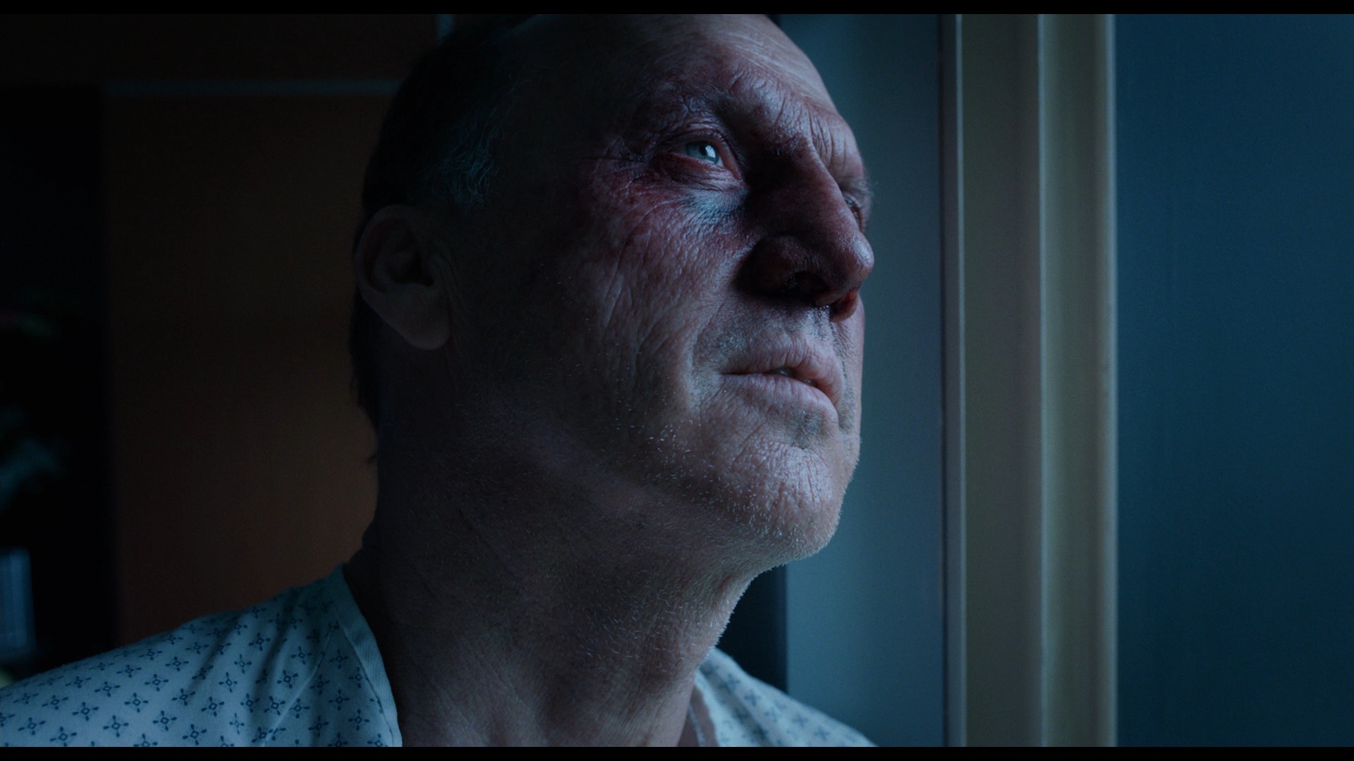 Birdman or (The Unexpected Virtue of Ignorance) (2014) —  shot,  lighting