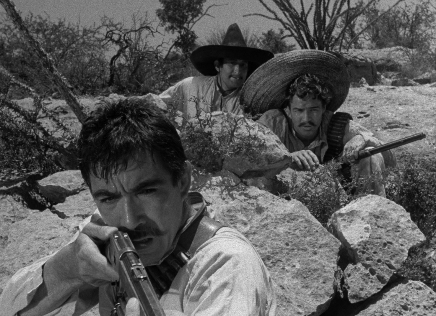 Viva Zapata! (1952) —  shot,  lighting