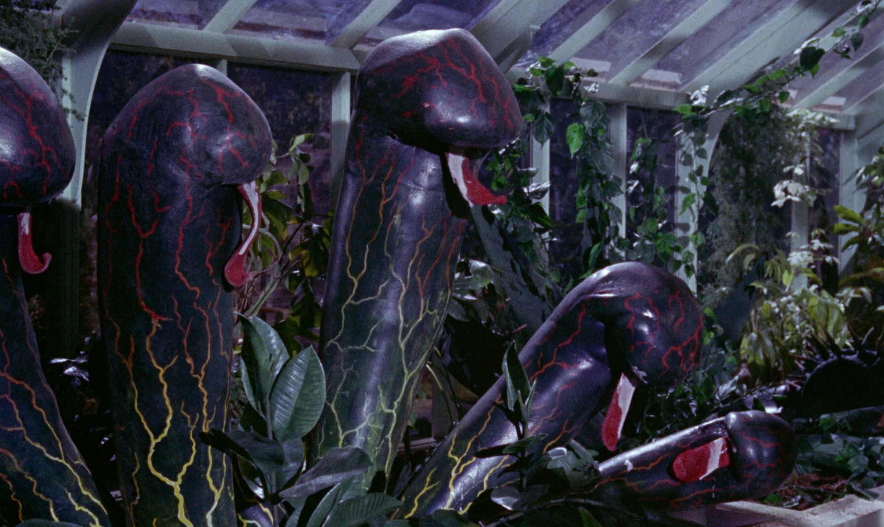 Konga (1961) —  shot,  lighting