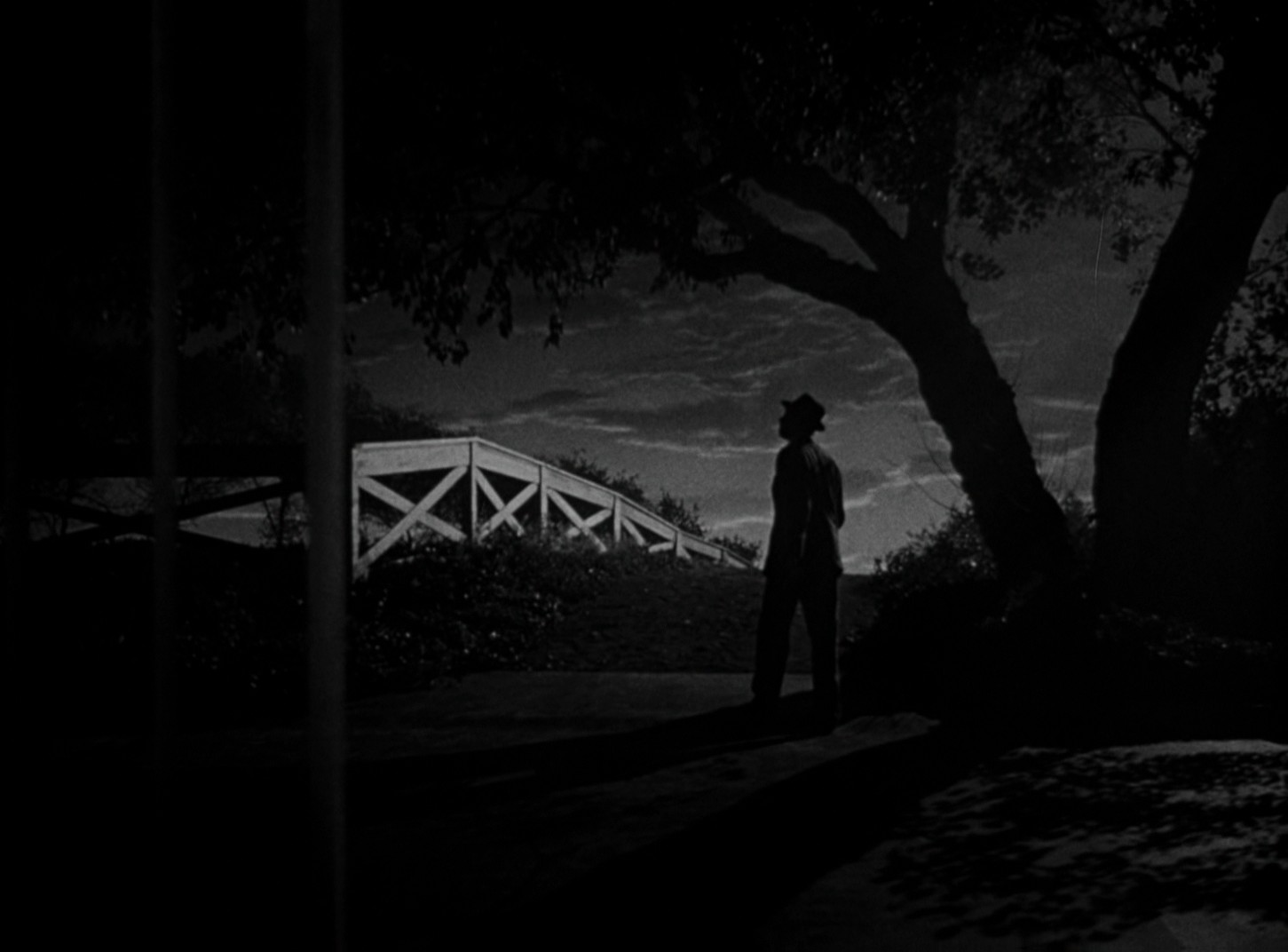 Harvey (1950) —  shot,  lighting