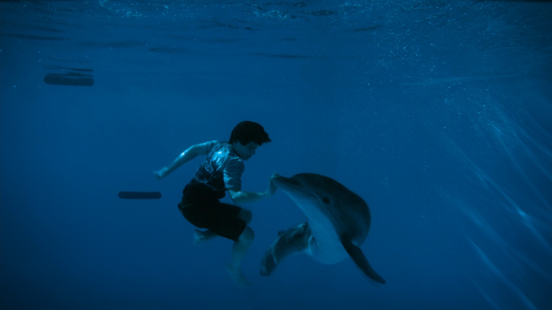 Dolphin Tale (2011) —  shot,  lighting