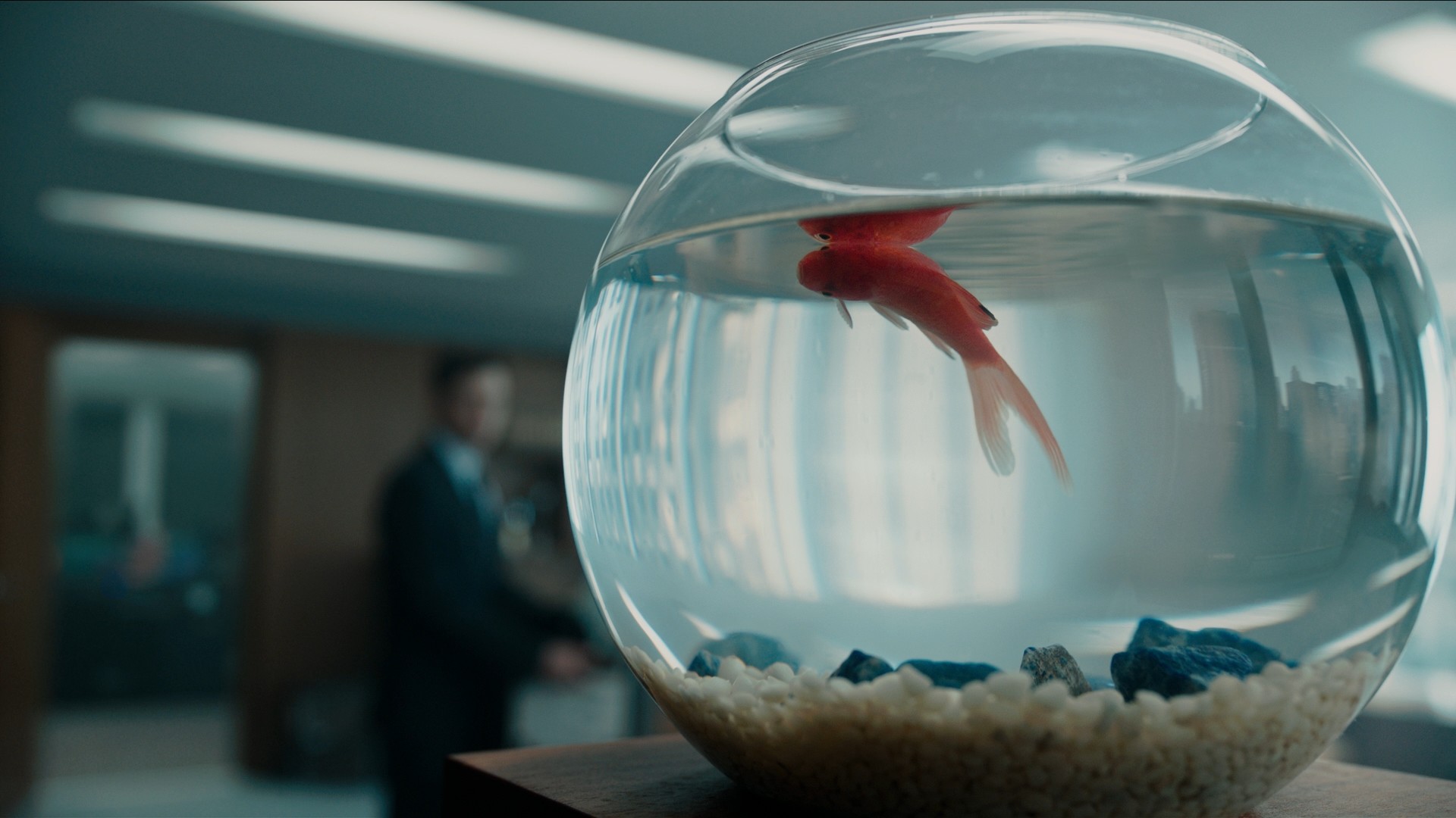 A Cure for Wellness (2016) —  shot,  lighting