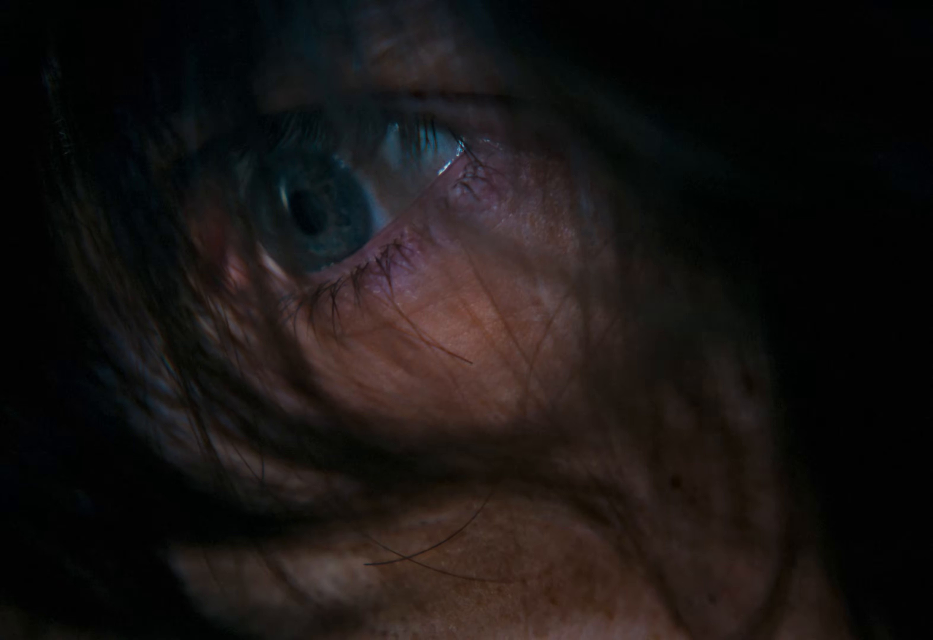 The Sound It Made (2026) —  shot,  lighting