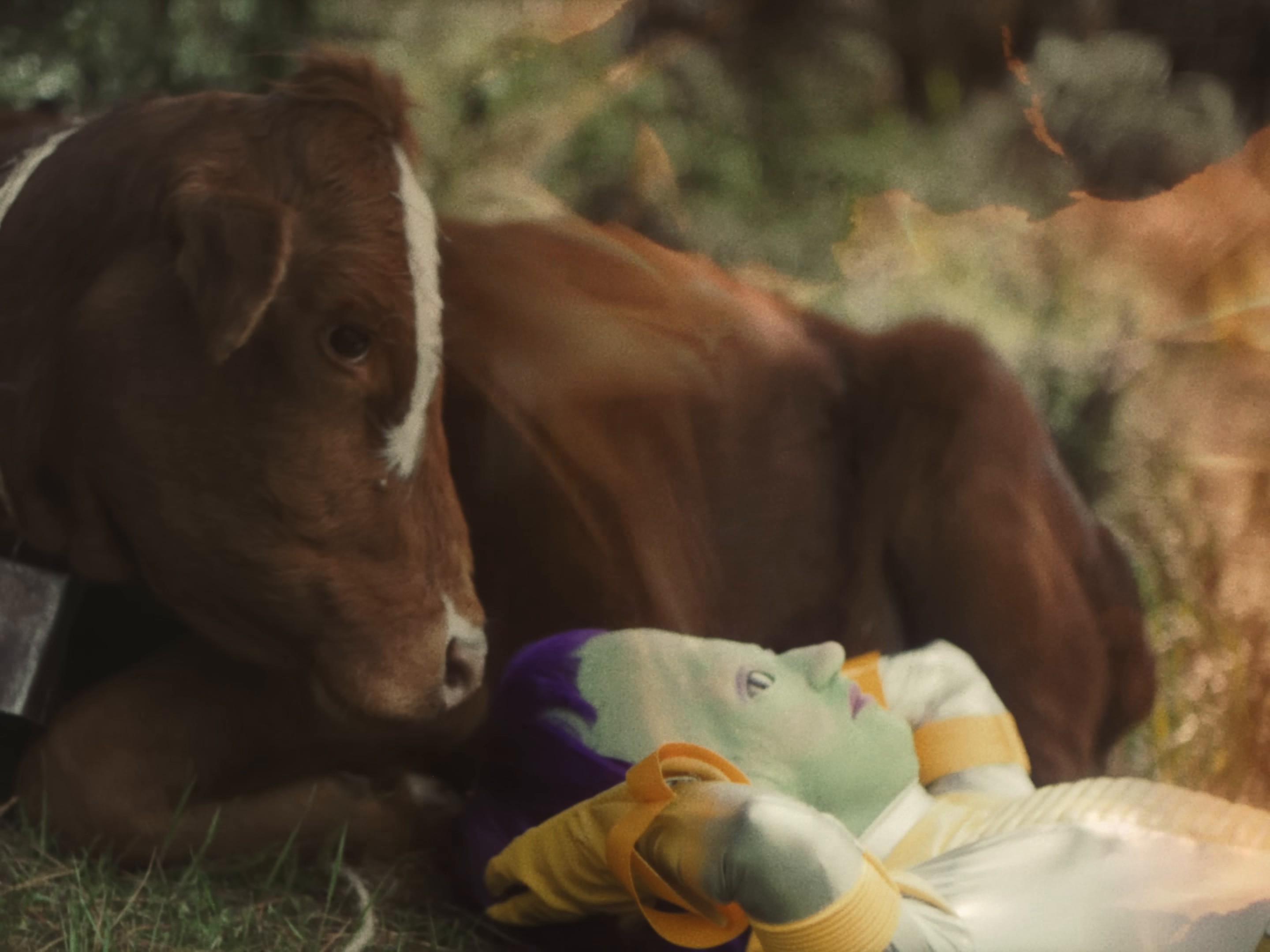 Show Pony (2024) —  shot,  lighting