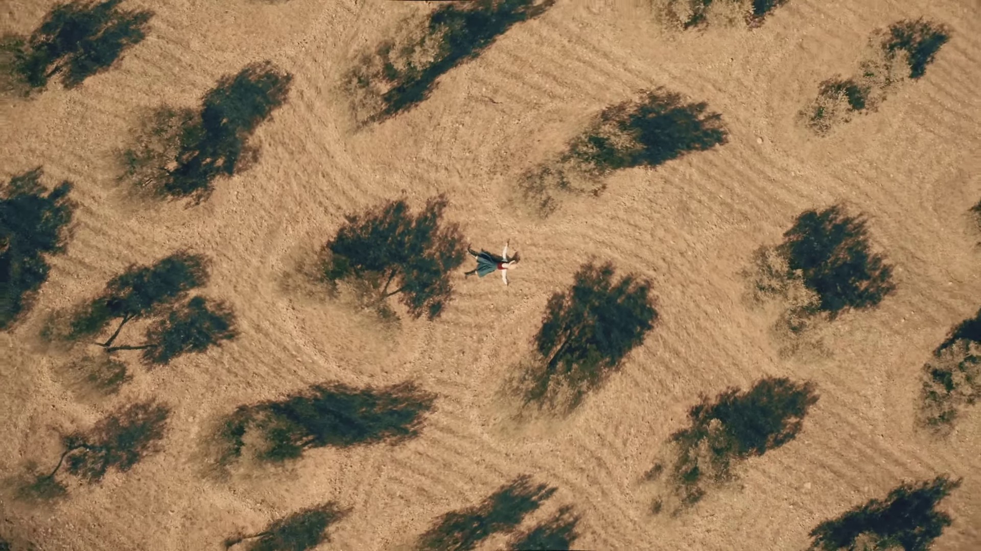 Va (2022) —  shot,  lighting