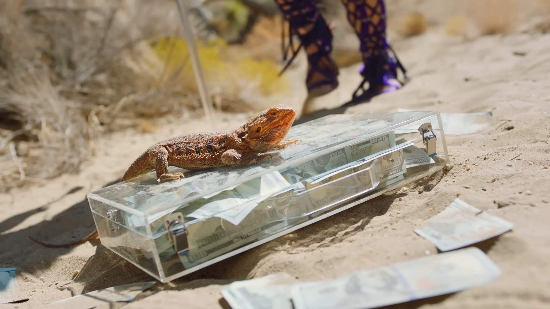 Rules (2019) —  shot,  lighting