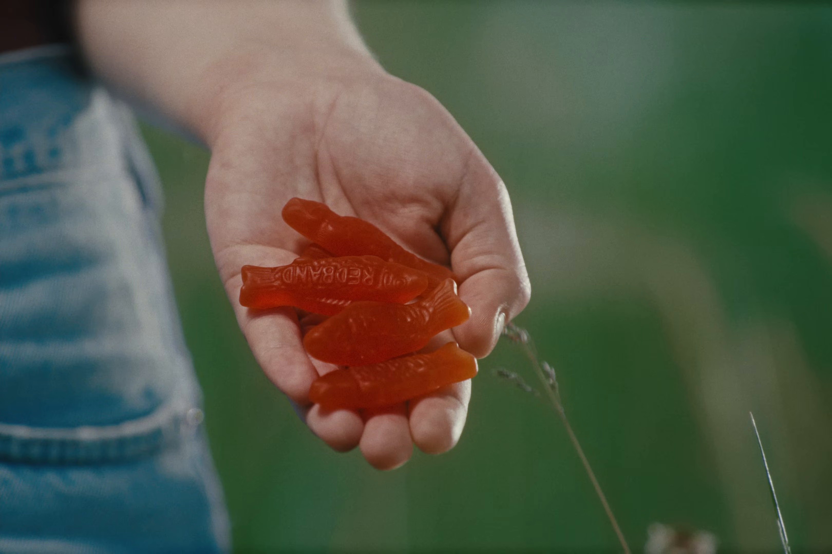 Jellyfish (2025) —  shot,  lighting