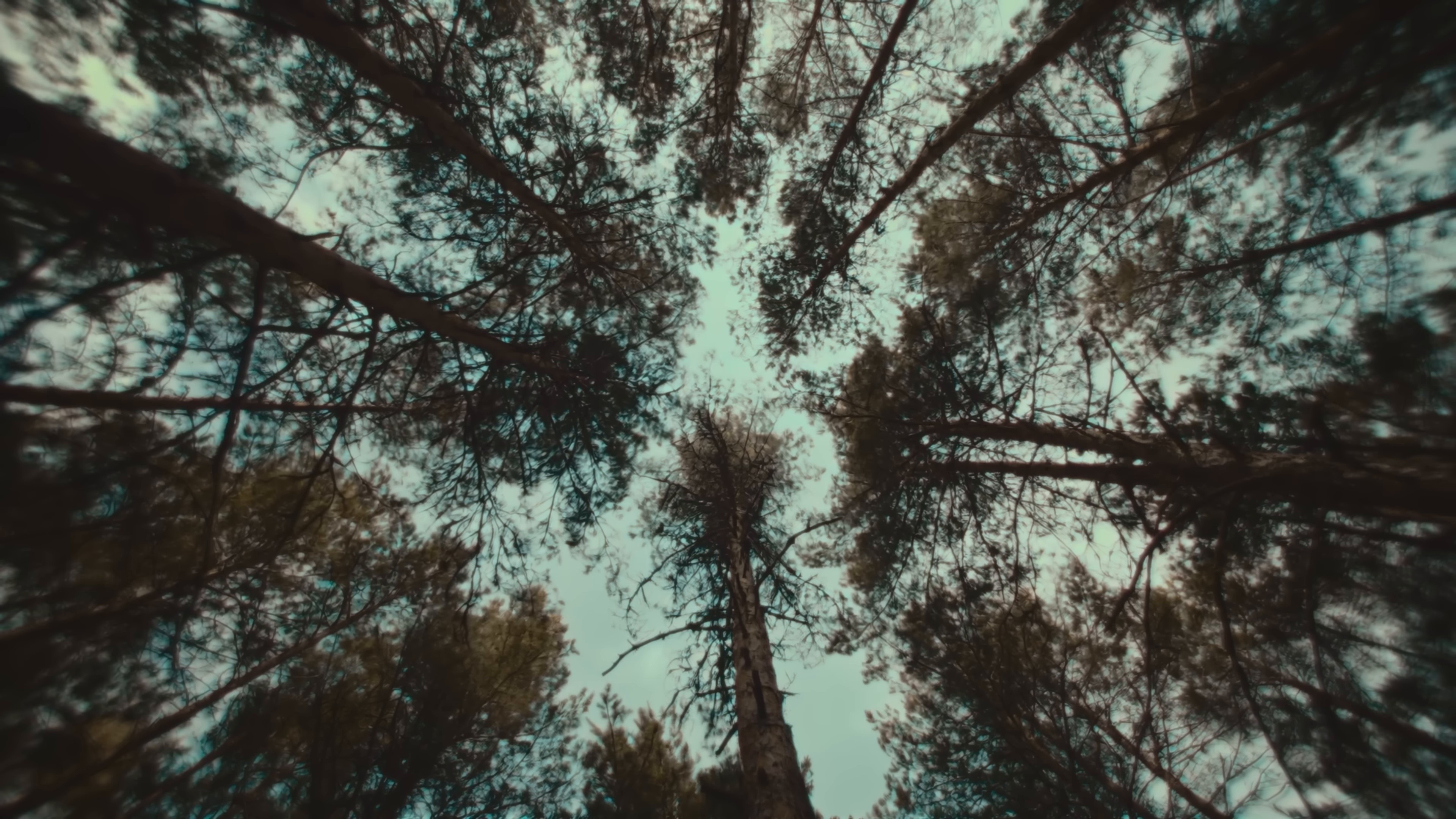 ON FIRE (2025) —  shot,  lighting