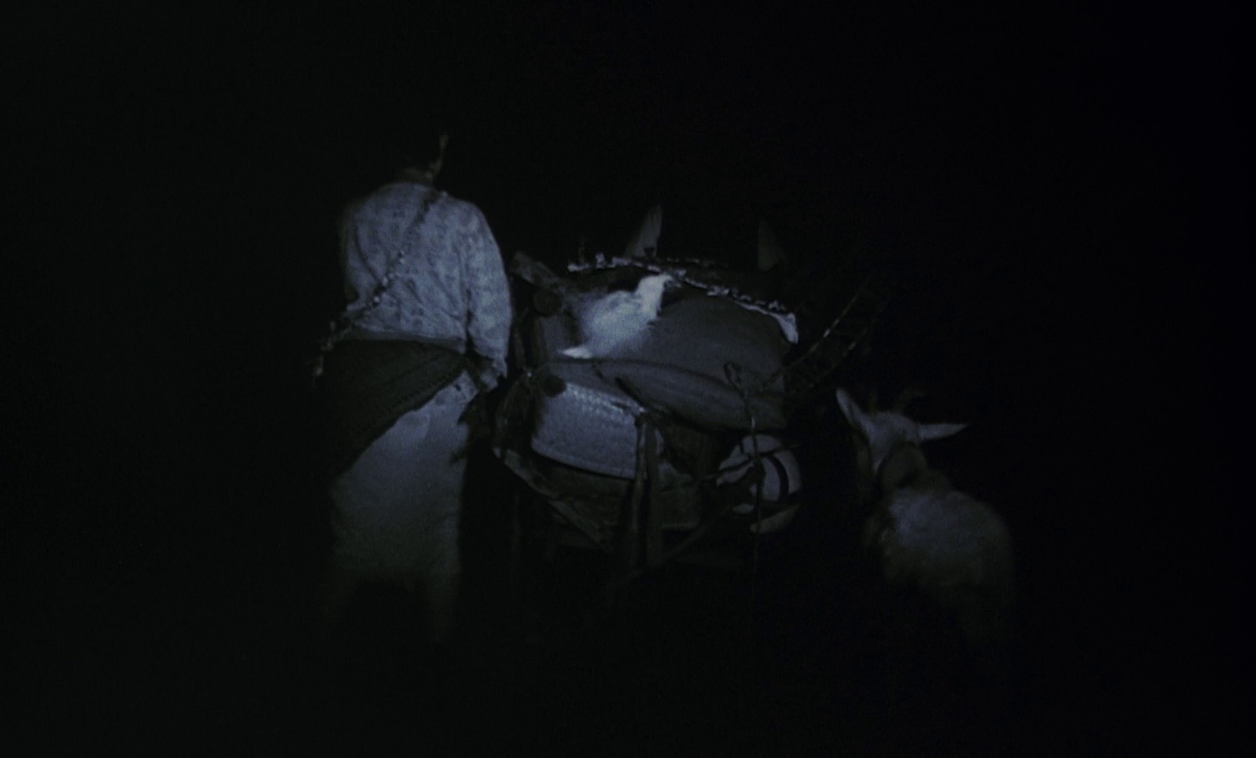 Farewell to the Ark (1984) —  shot,  lighting