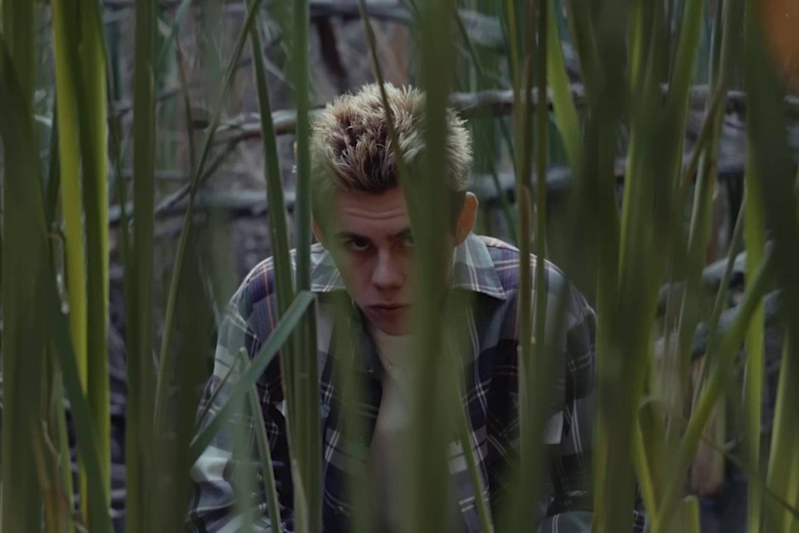 Bleed (2023) —  shot,  lighting