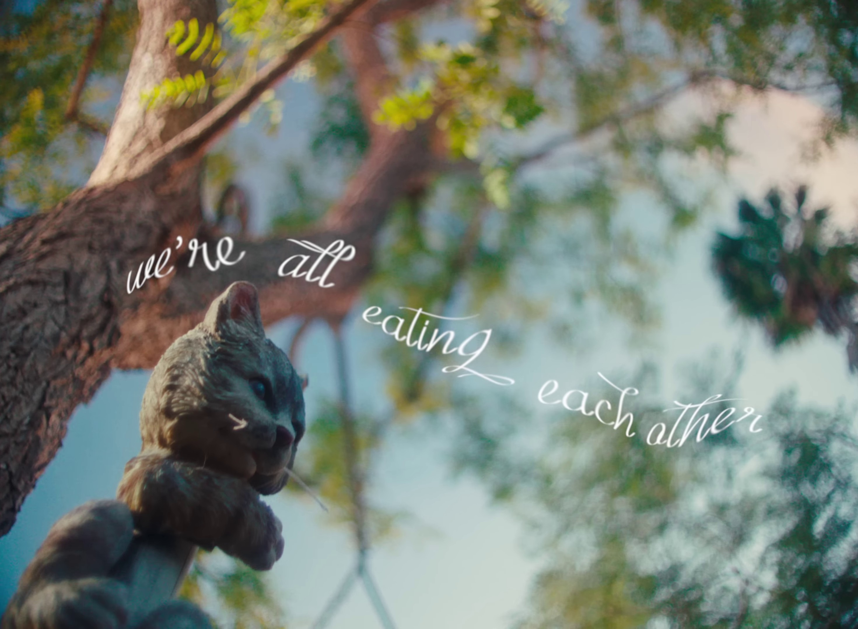 we're all eating each other (2024) —  shot,  lighting