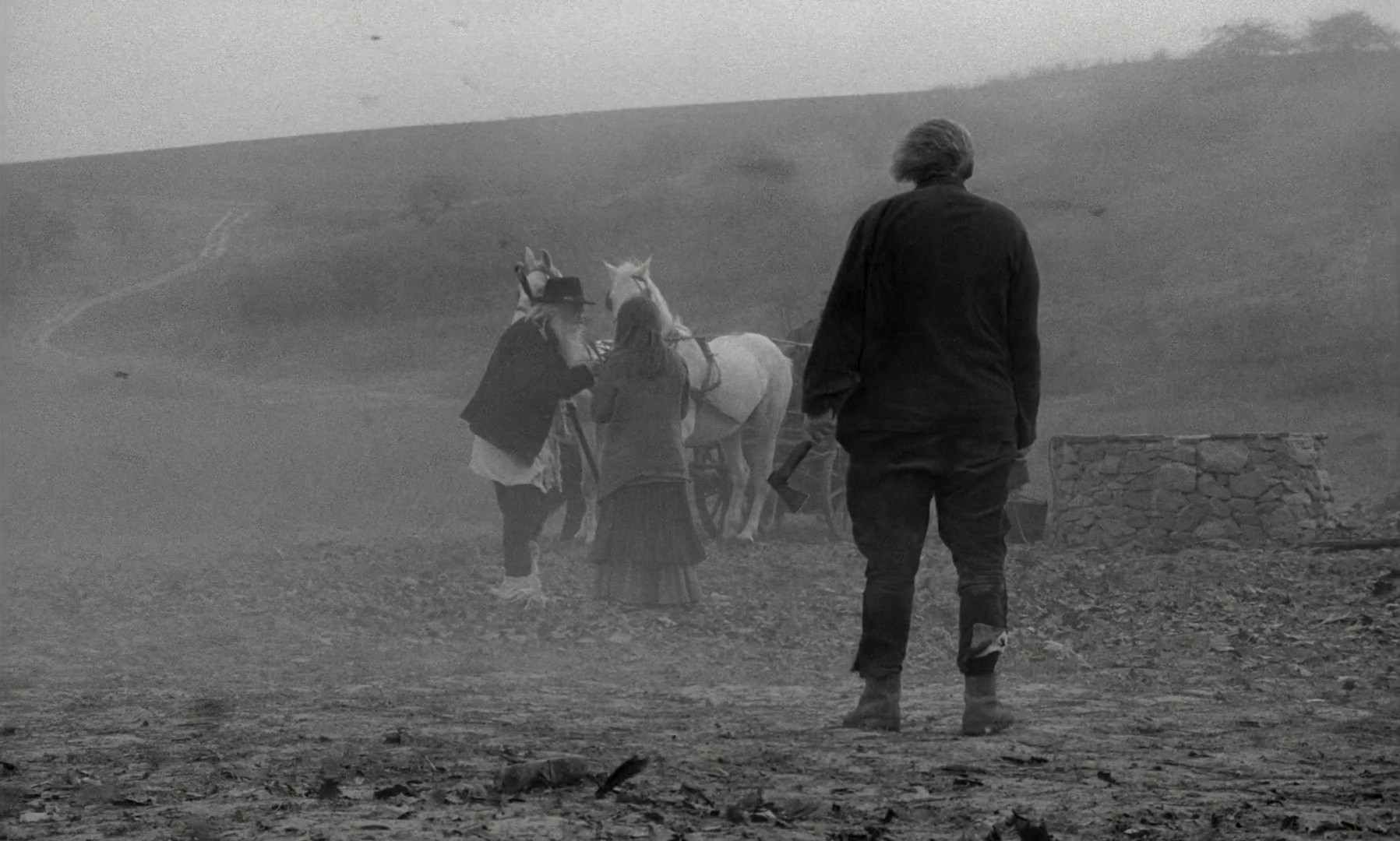 The Turin Horse (2012) —  shot,  lighting