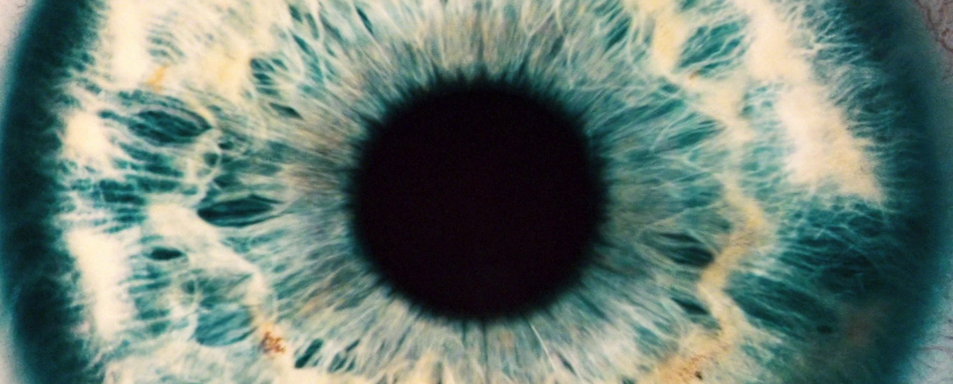 Beyond the Black Rainbow (2010) —  shot,  lighting