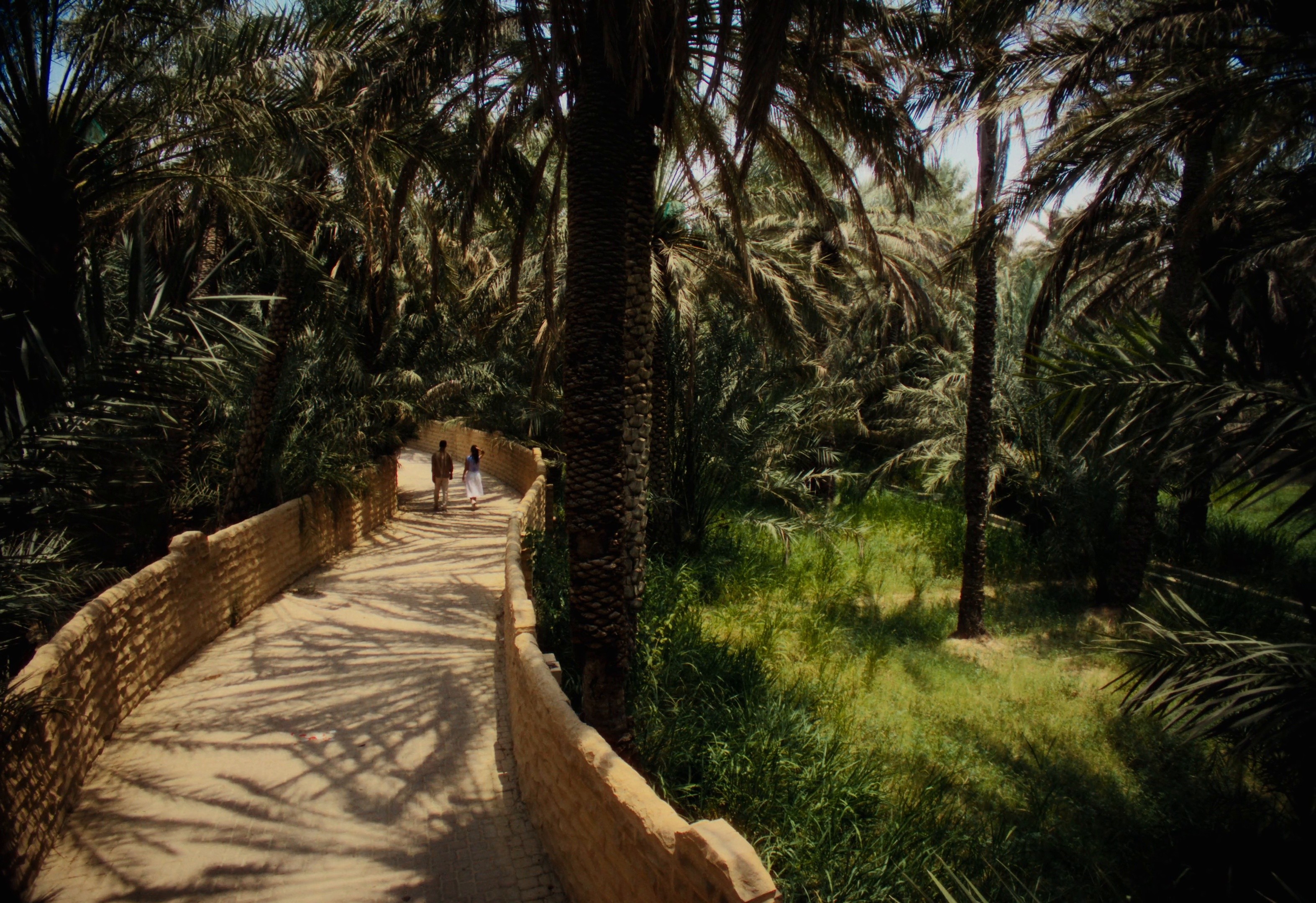 Experience Al Ain | Dir Cut (2025) —  shot,  lighting