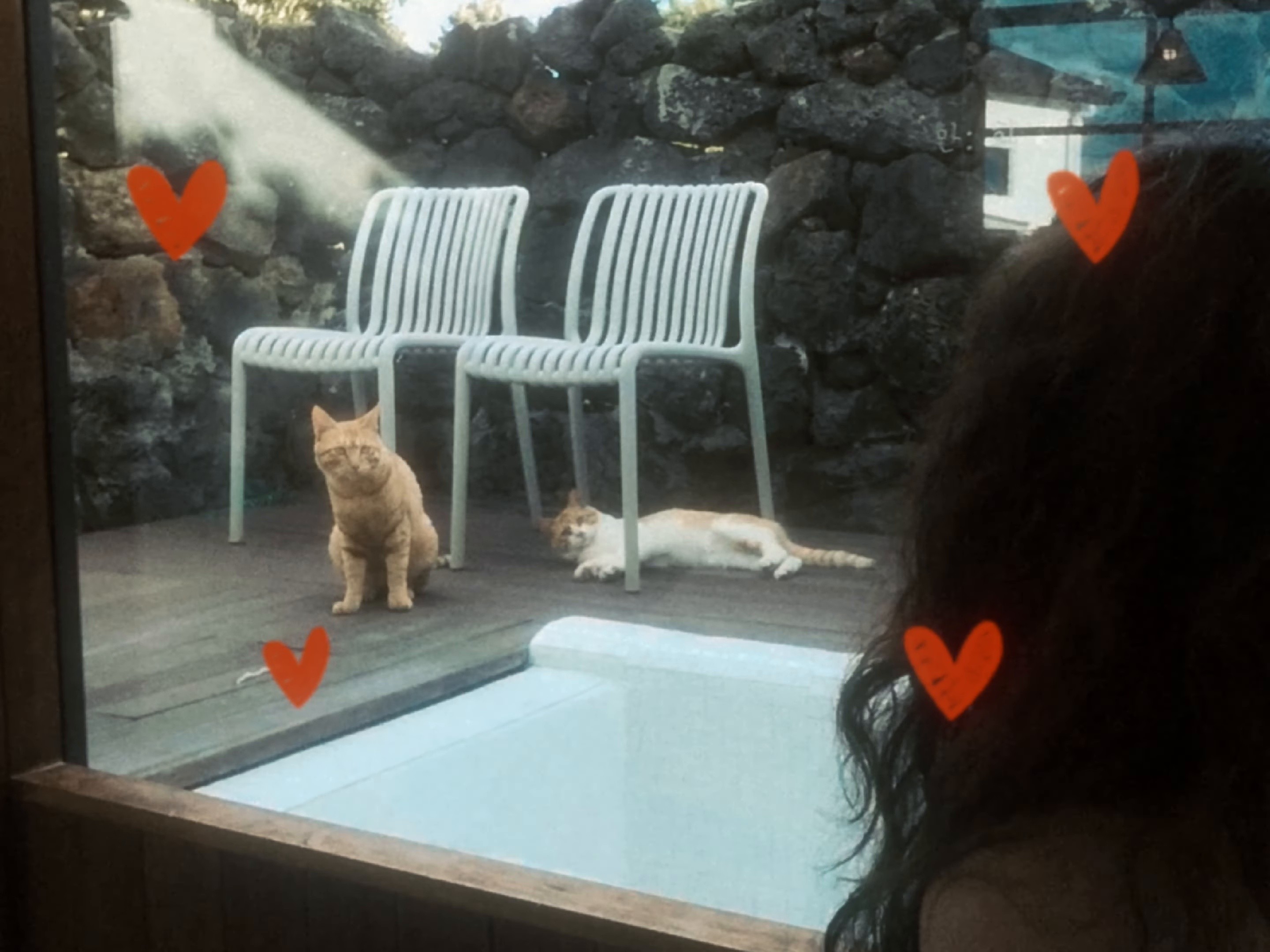 𝐑𝐨𝐦𝐞𝐨 & 𝐉𝐮𝐥𝐢𝐞𝐭 ᴢᴇᴇ ᴏꜰ ᴀᴅᴏʏ REMIX (2025) —  shot,  lighting