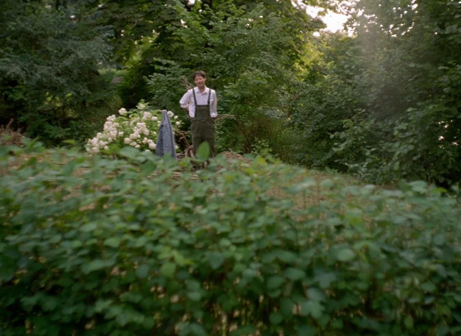 Little Otik (2001) —  shot,  lighting