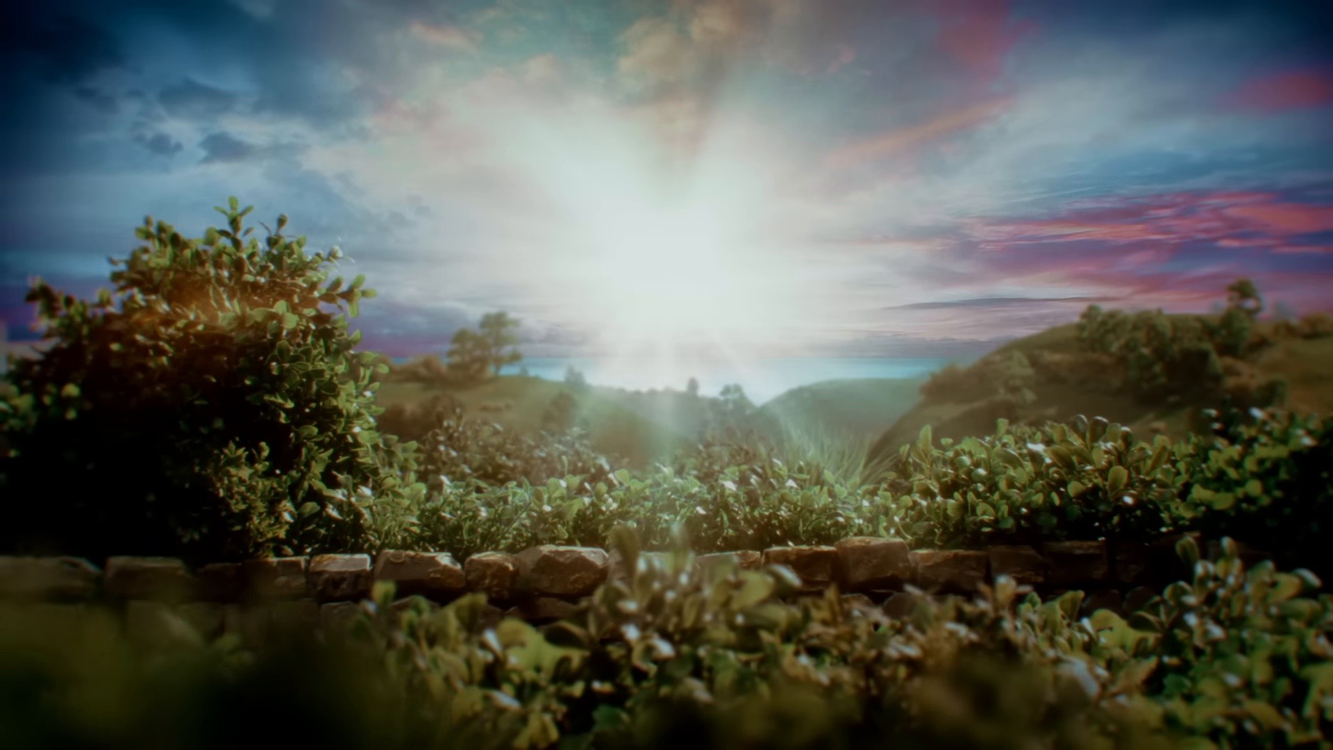 davina mccall (2025) —  shot,  lighting