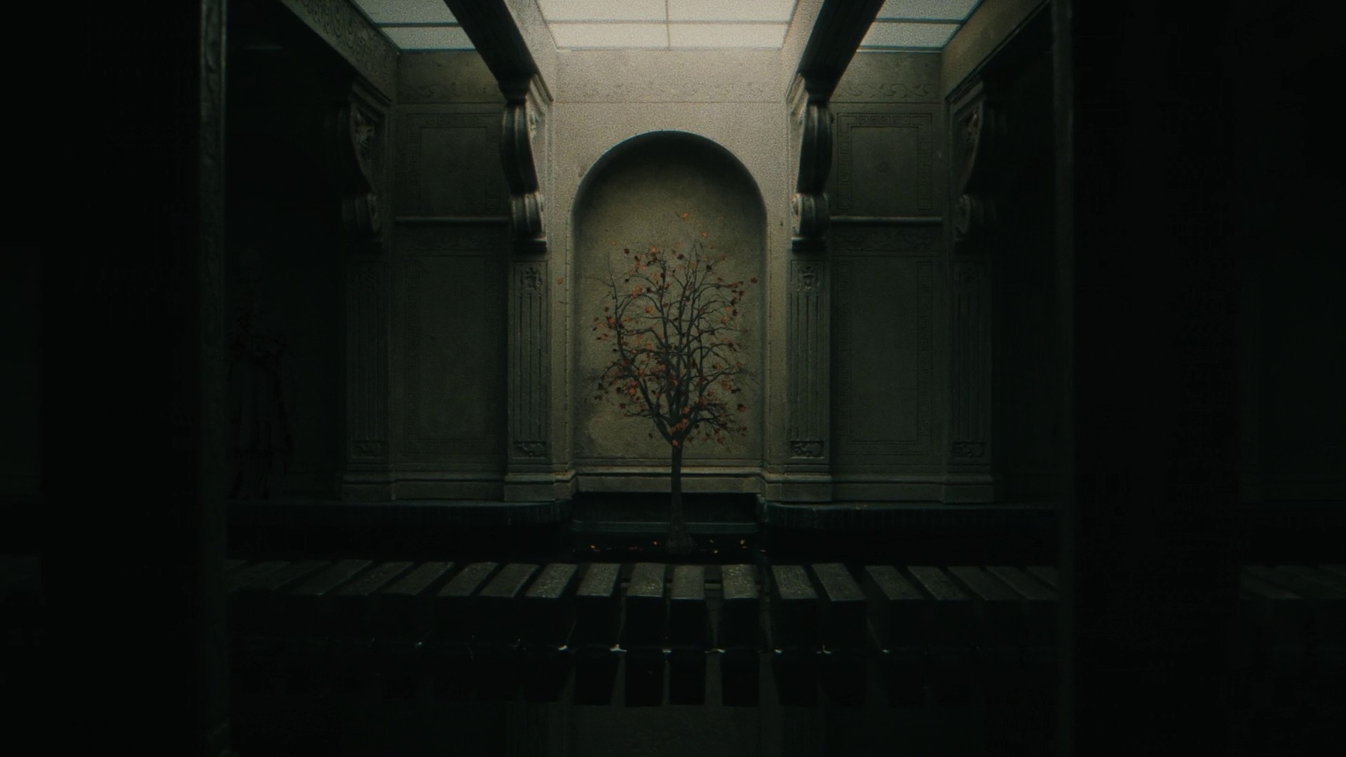 Dream never dies  (2021) —  shot,  lighting