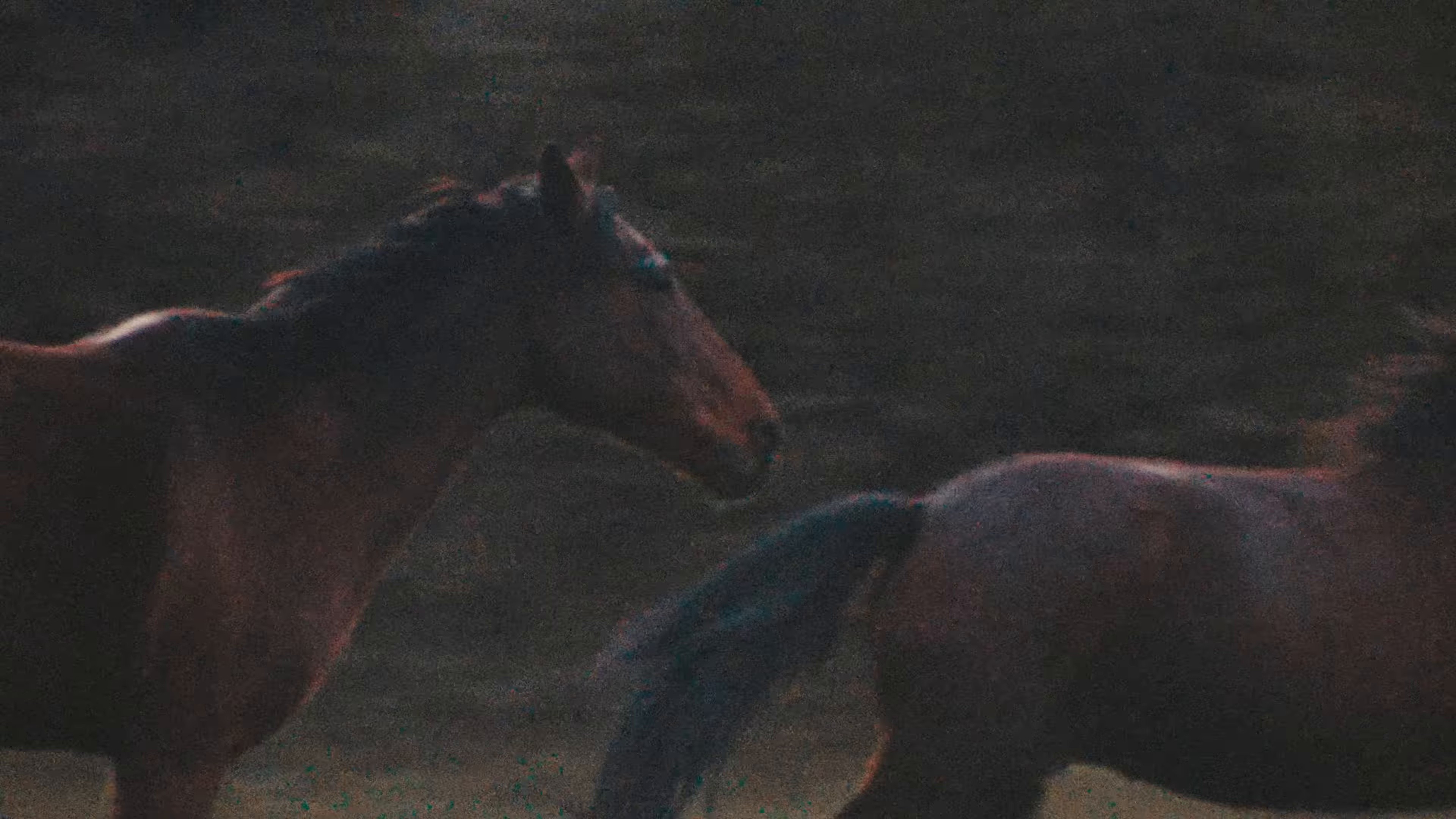 Prophet (2025) —  shot,  lighting