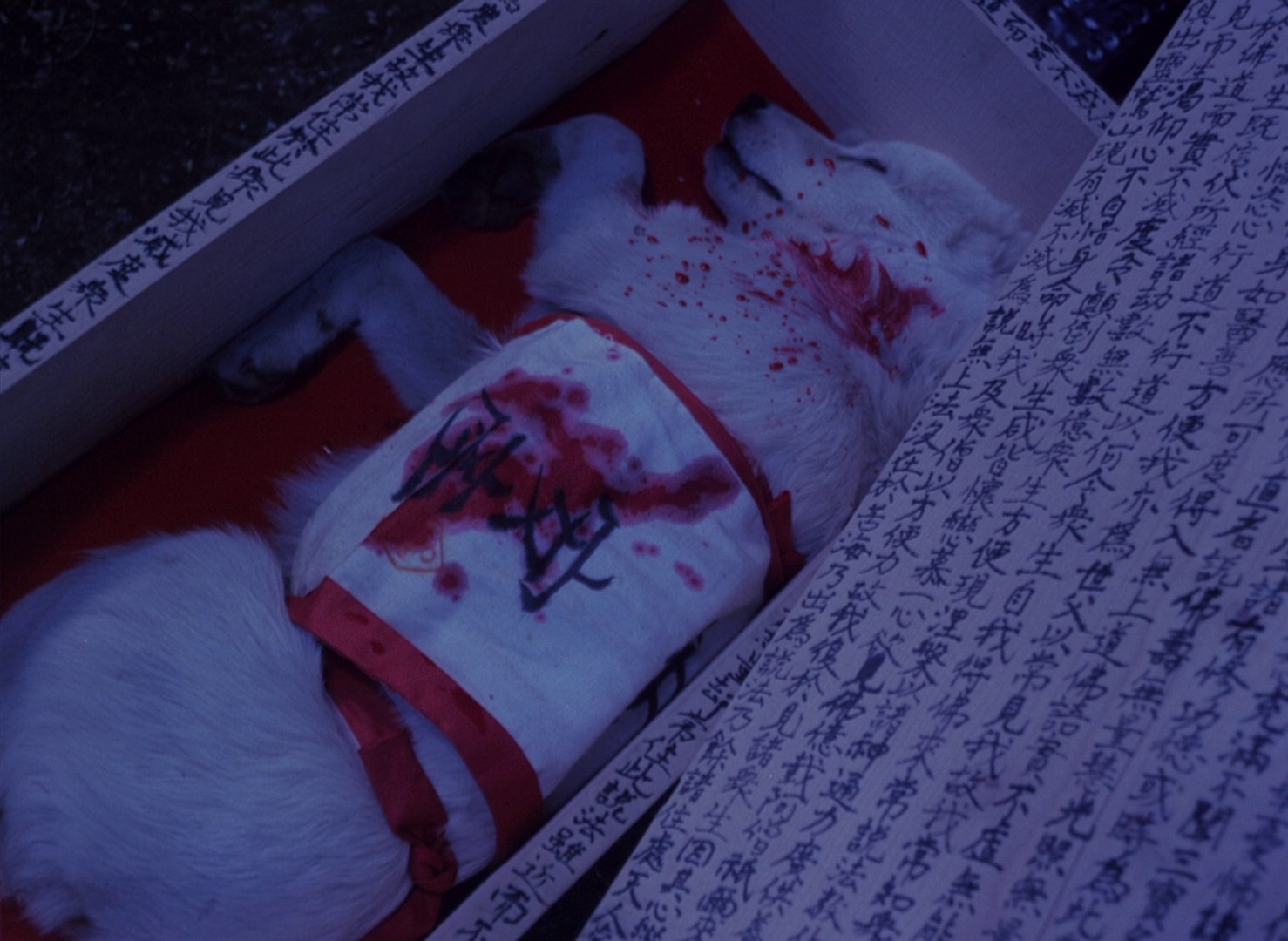 Pastoral: To Die in the Country (1974) —  shot,  lighting