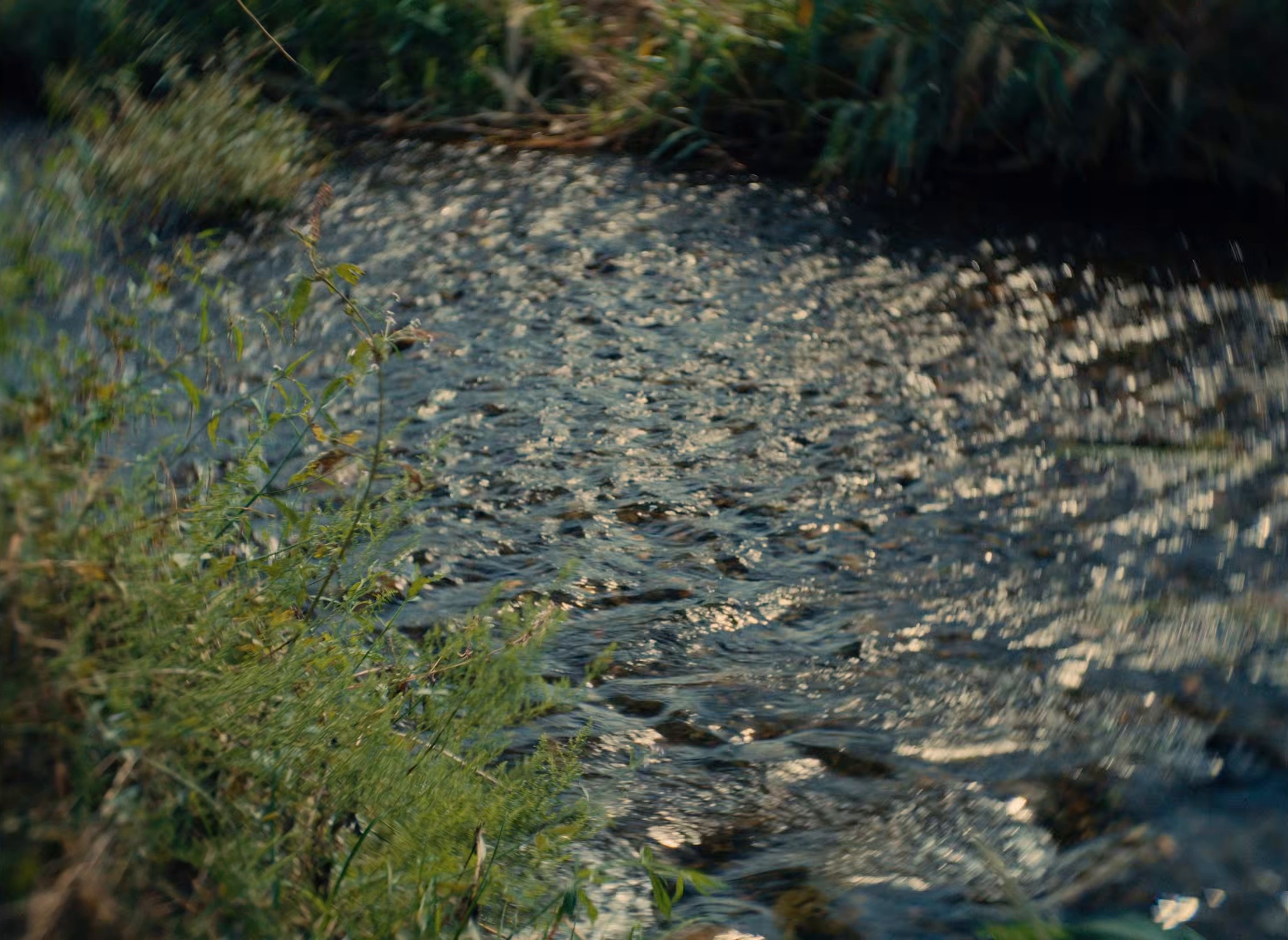 Right Here (2026) —  shot,  lighting