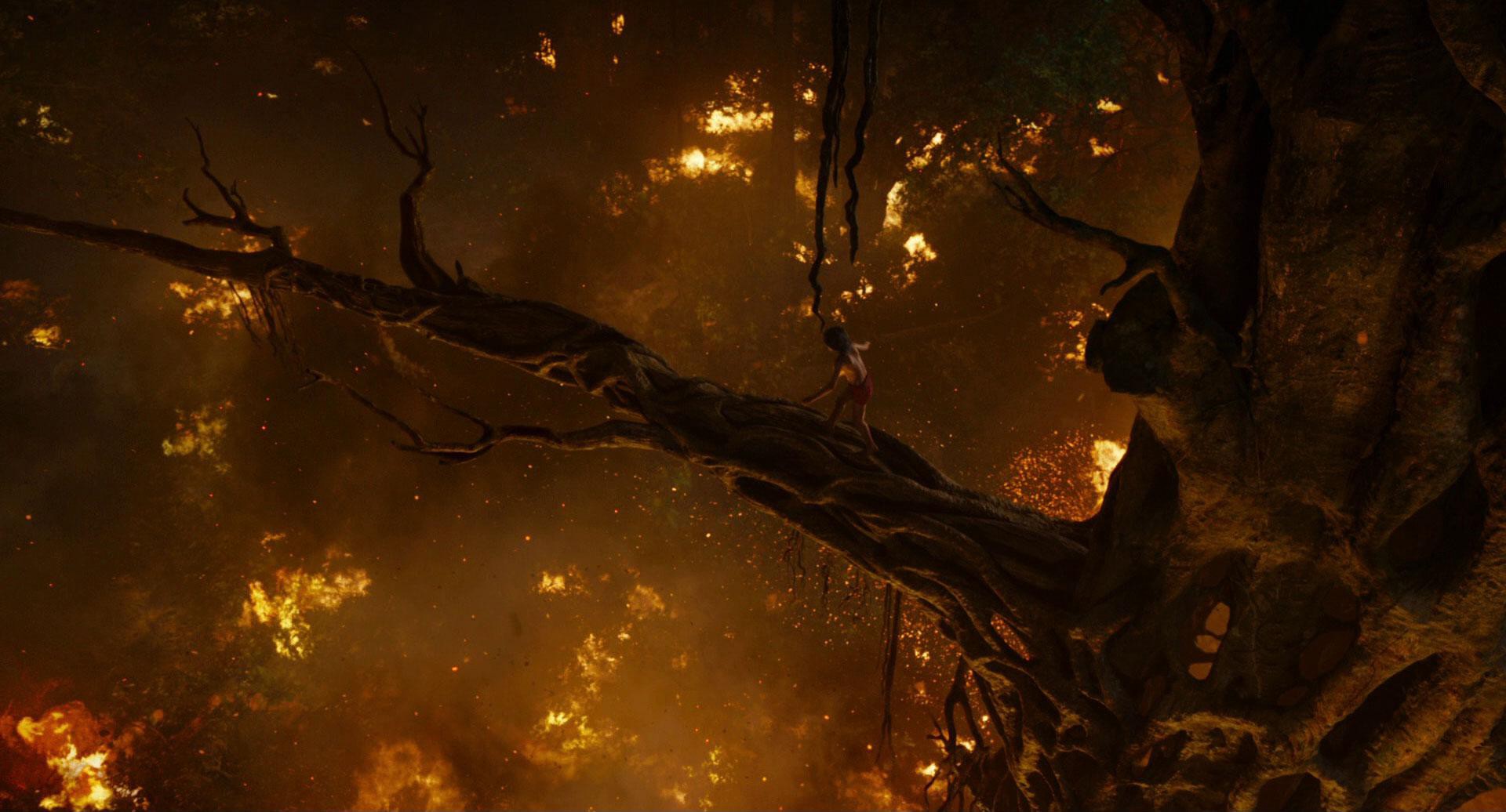 The Jungle Book (2016) —  shot,  lighting
