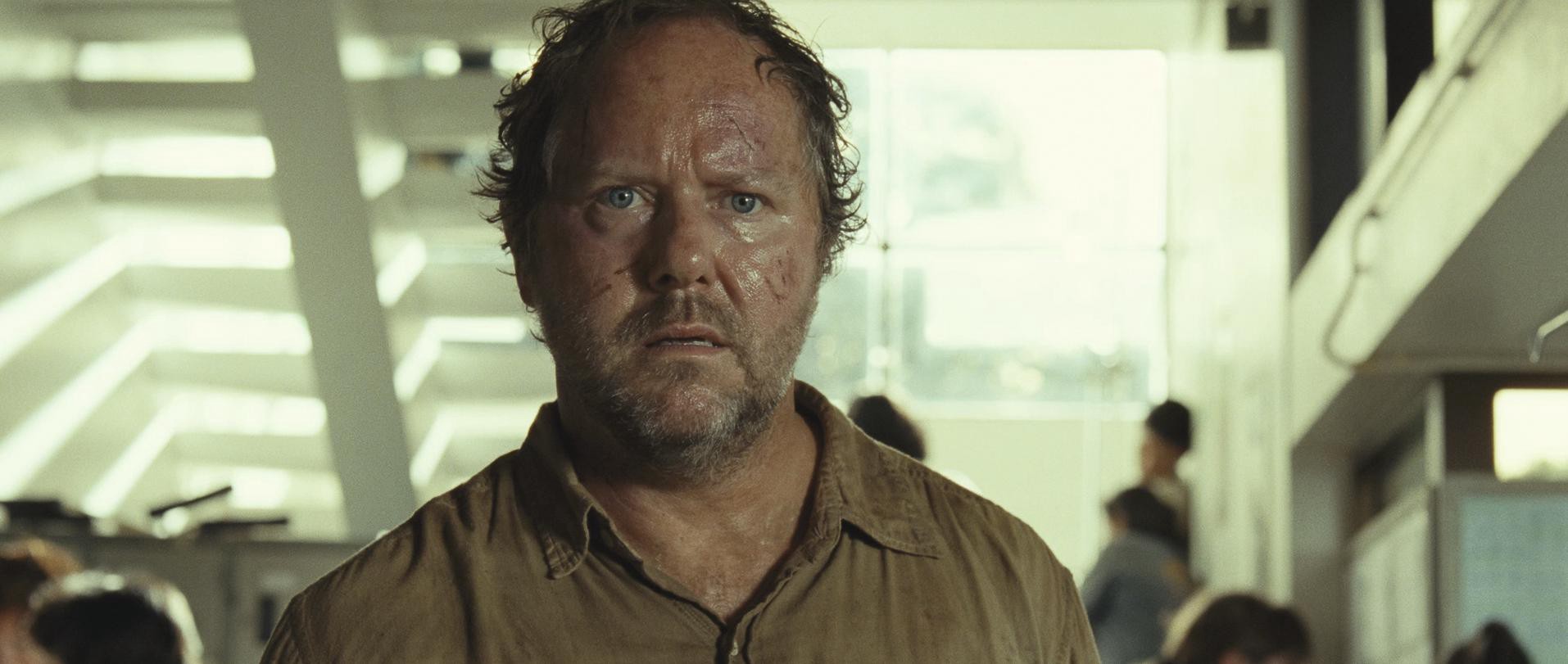 The Impossible (2012) —  shot,  lighting