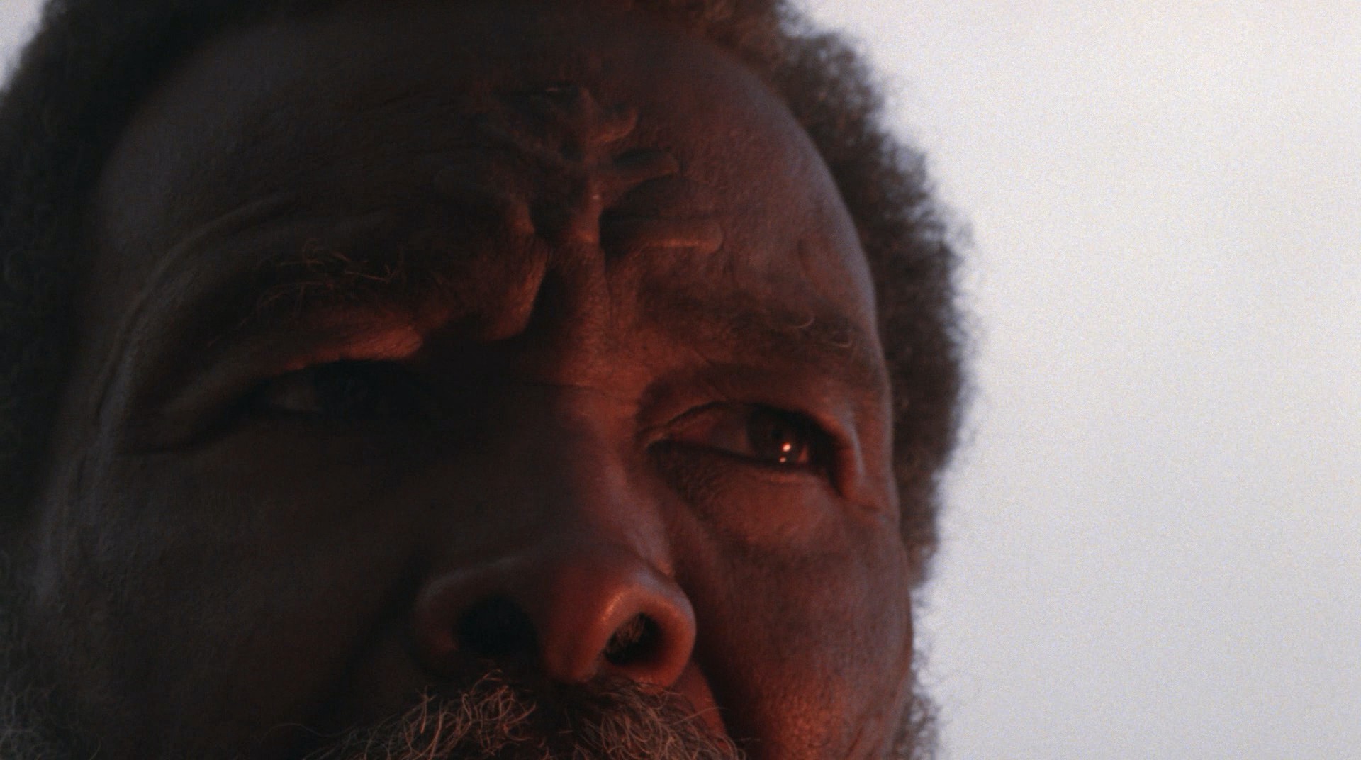 The Color Purple (1985) —  shot,  lighting