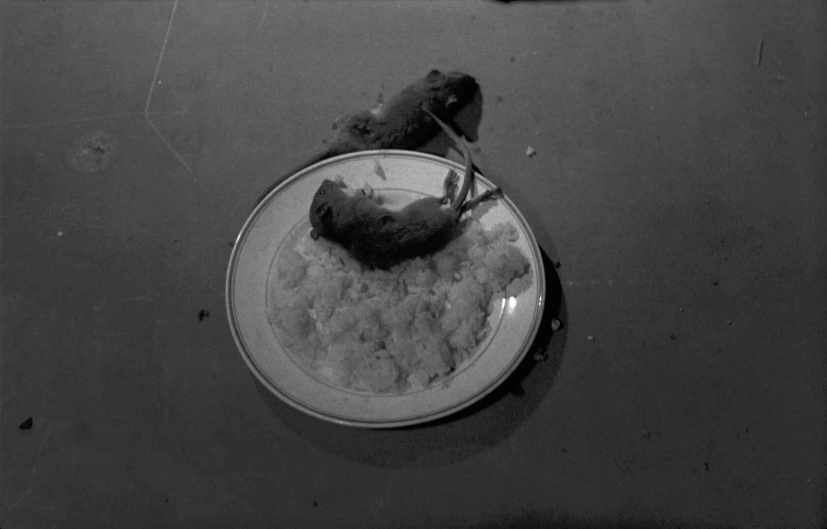The Housemaid (1960) —  shot,  lighting