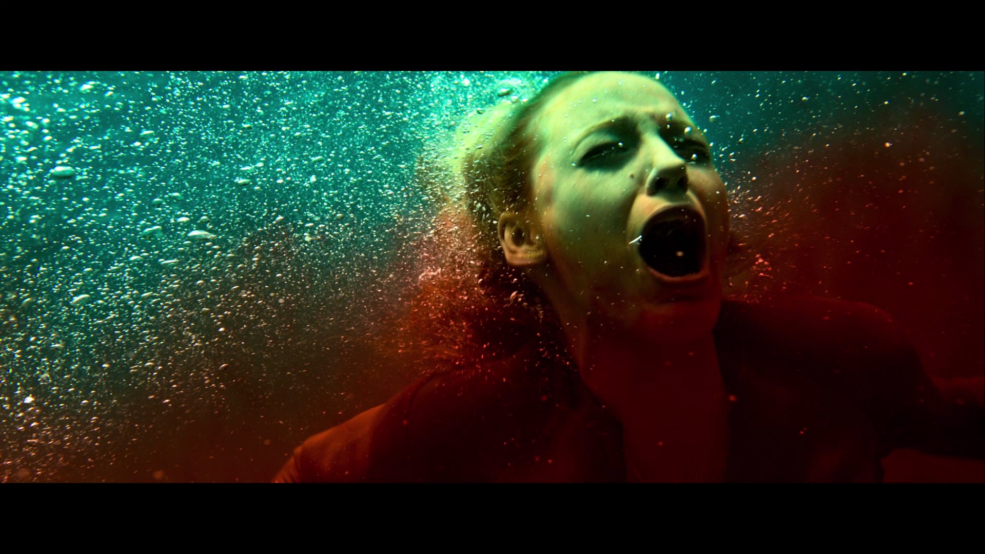 The Shallows (2016) —  shot,  lighting