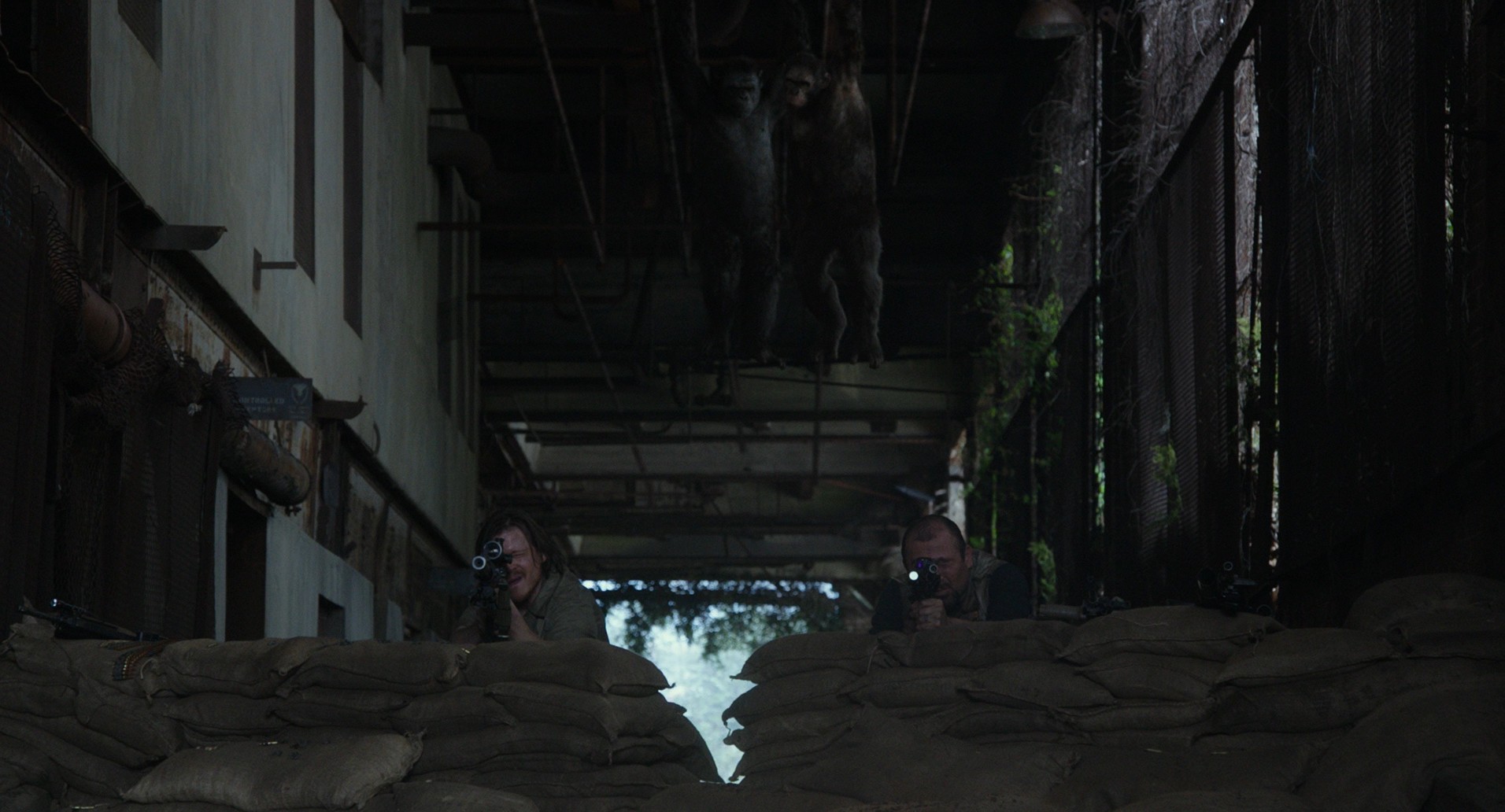 Dawn of the Planet of the Apes (2014) —  shot,  lighting