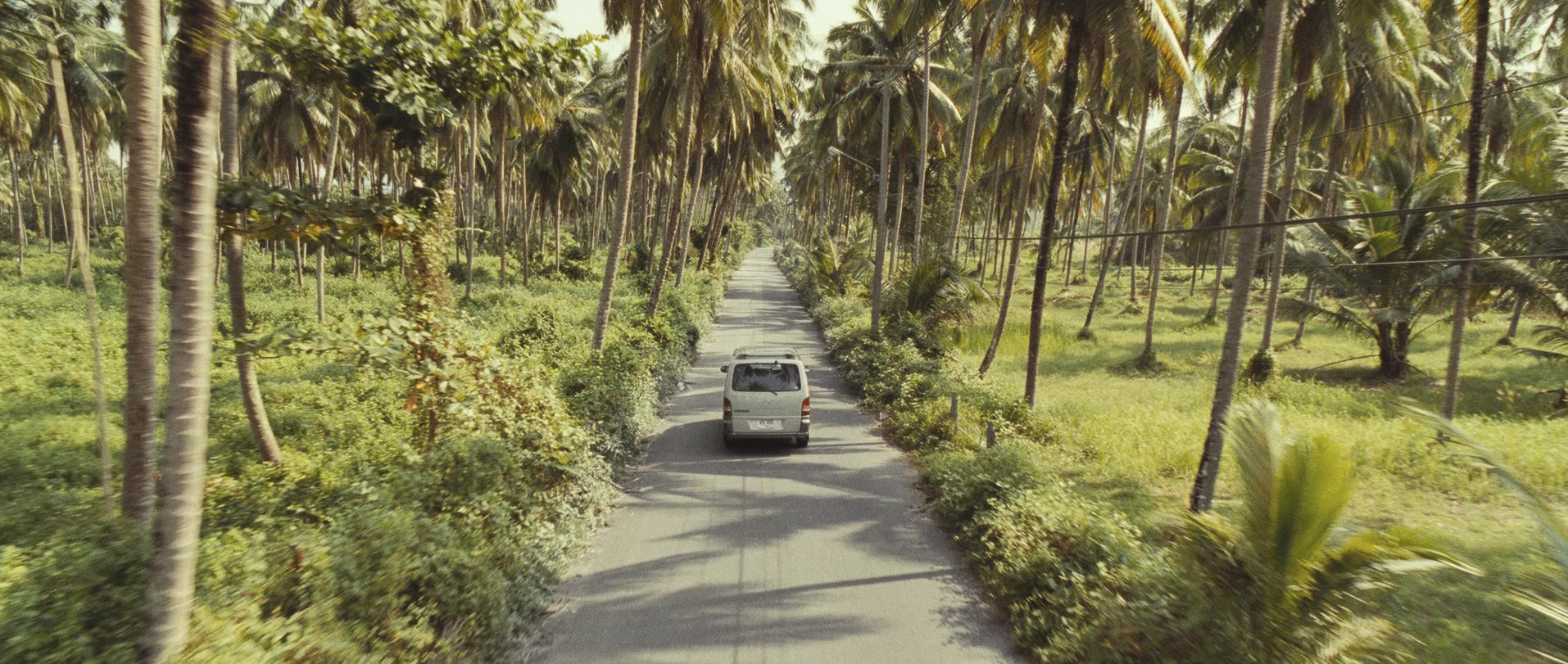 The Impossible (2012) —  shot,  lighting