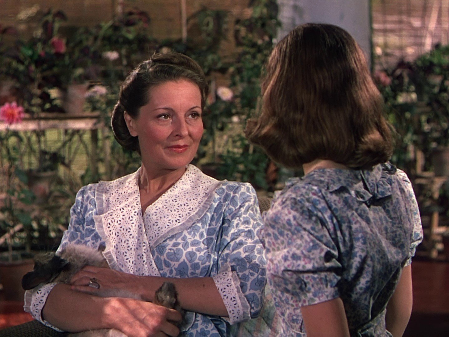 The River (1951) —  shot,  lighting