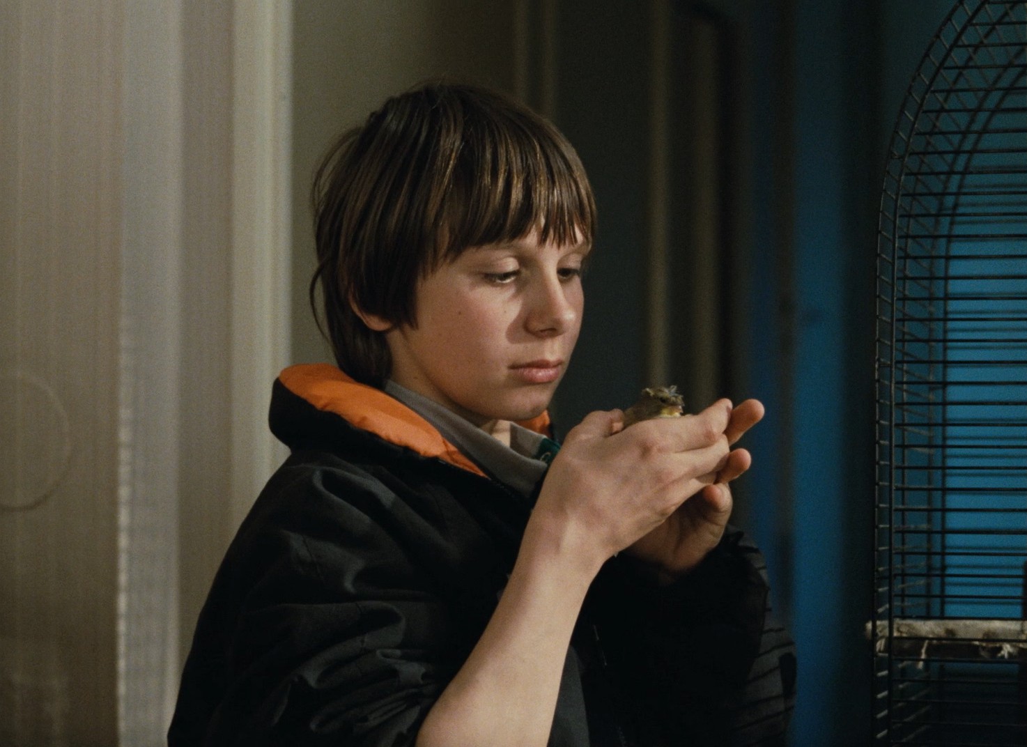 De bruit et de fureur (1988) —  shot,  lighting