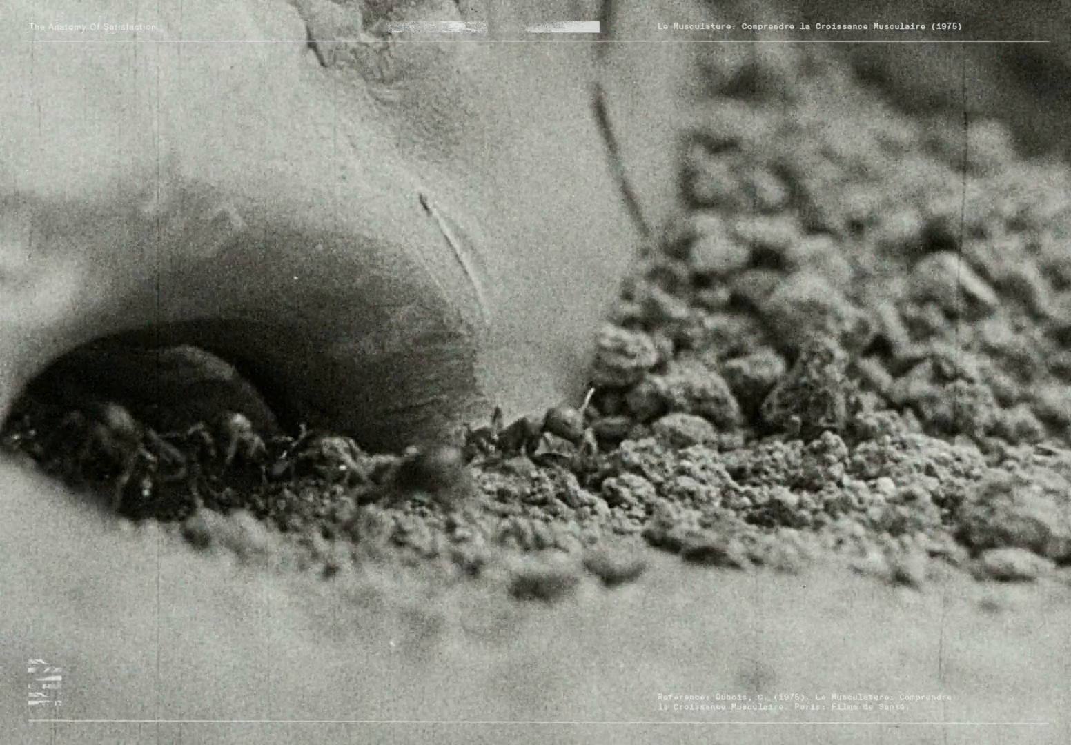 RAPHA | THE ANATOMY OF SUCCESS (2024) —  shot,  lighting