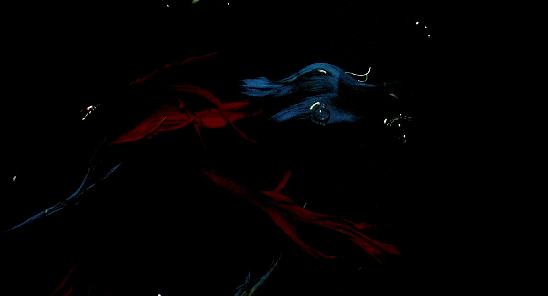 Rumble Fish (1983) —  shot,  lighting