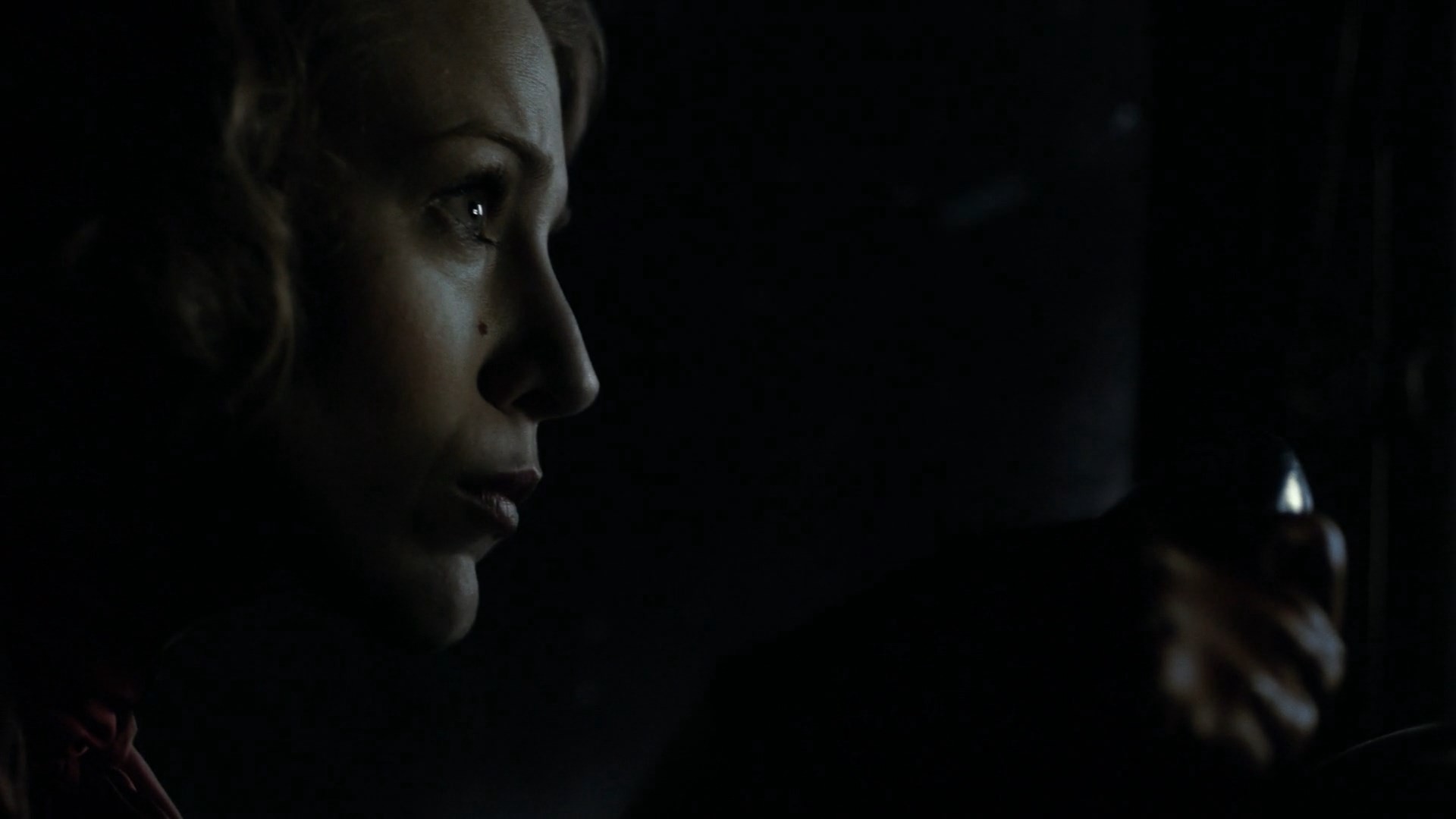 The Age of Adaline (2015) —  shot,  lighting