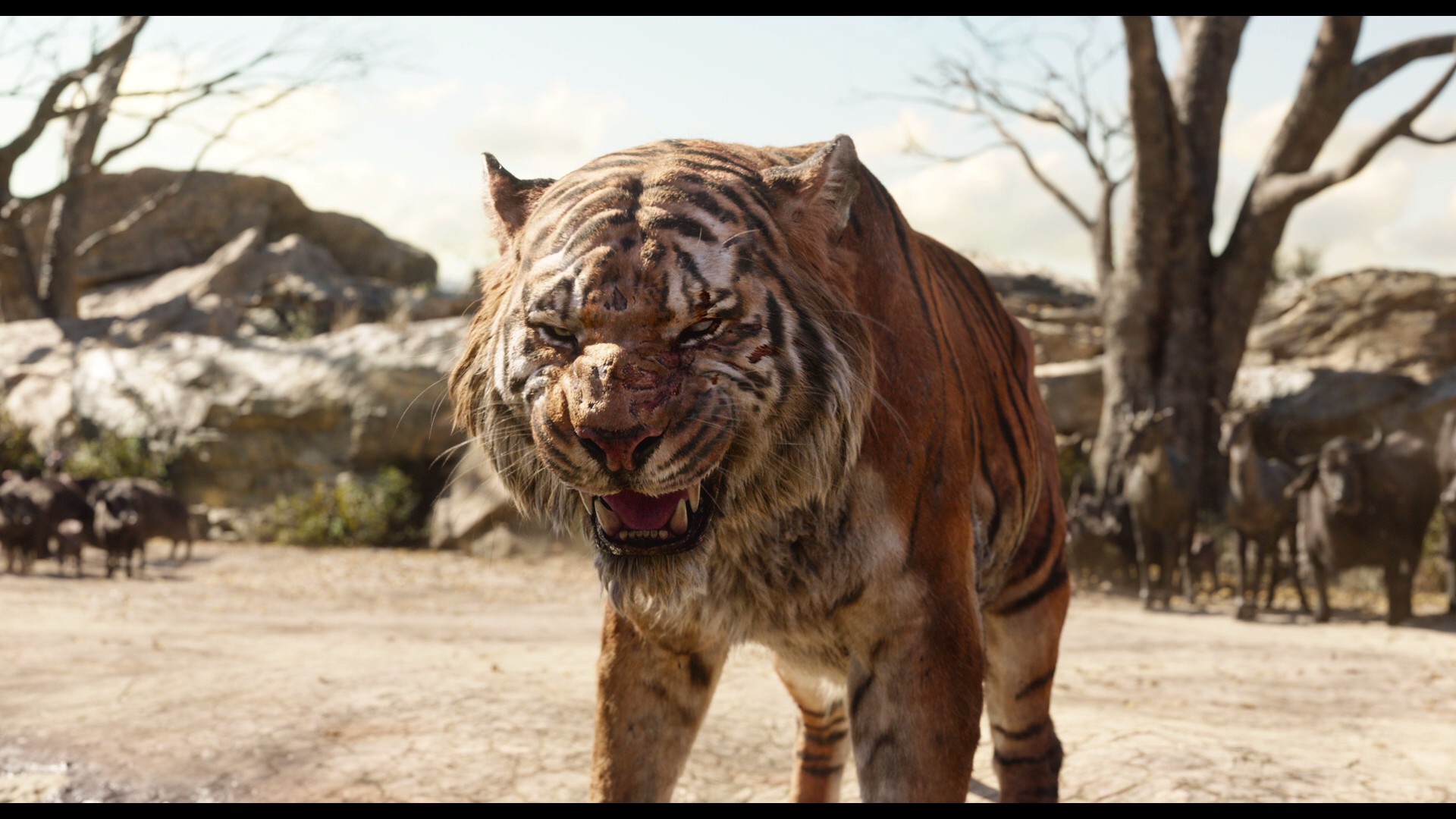 The Jungle Book (2016) —  shot,  lighting