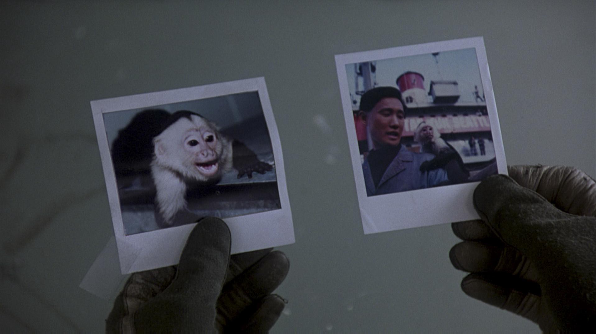 Outbreak (1995) —  shot,  lighting