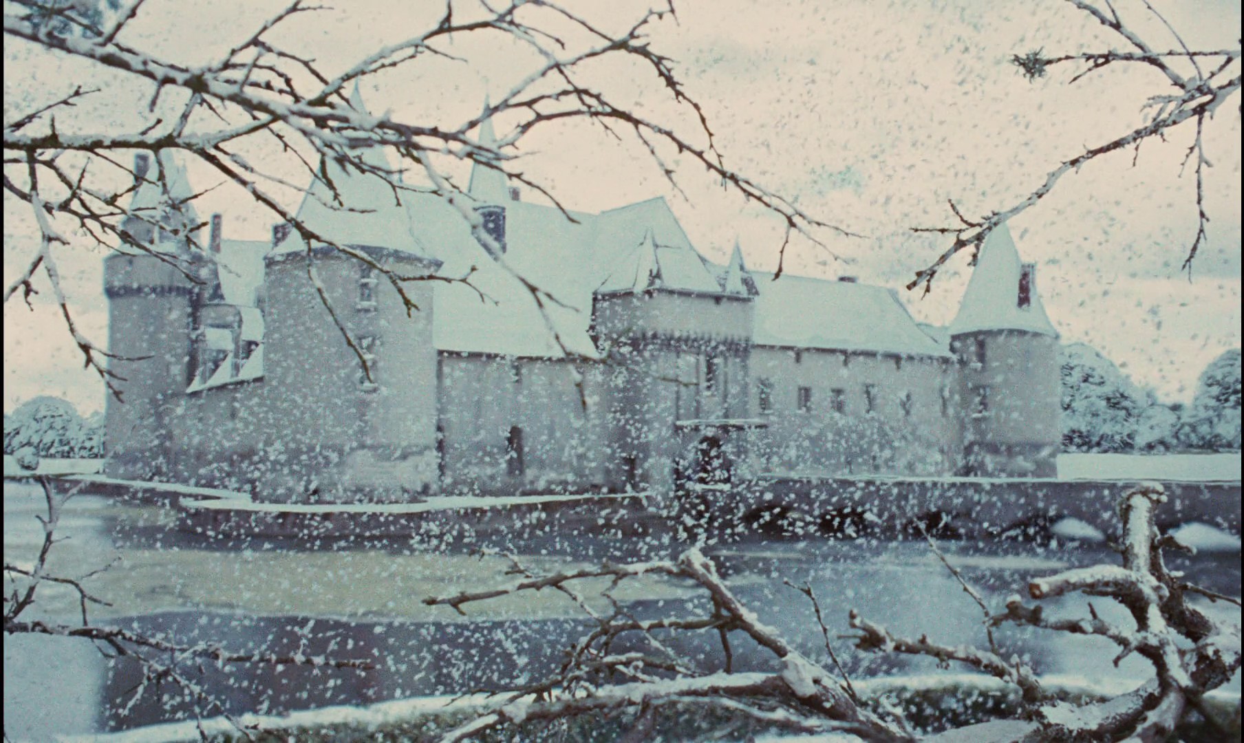 Donkey Skin (1970) —  shot,  lighting