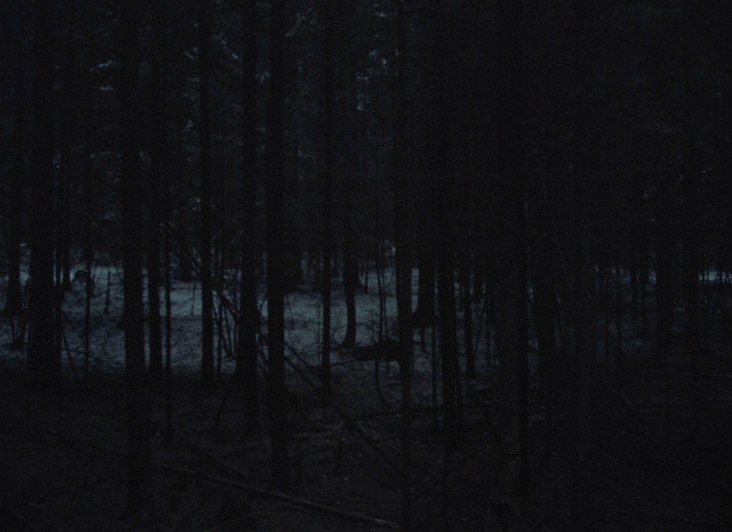 Come and See (1985) —  shot,  lighting