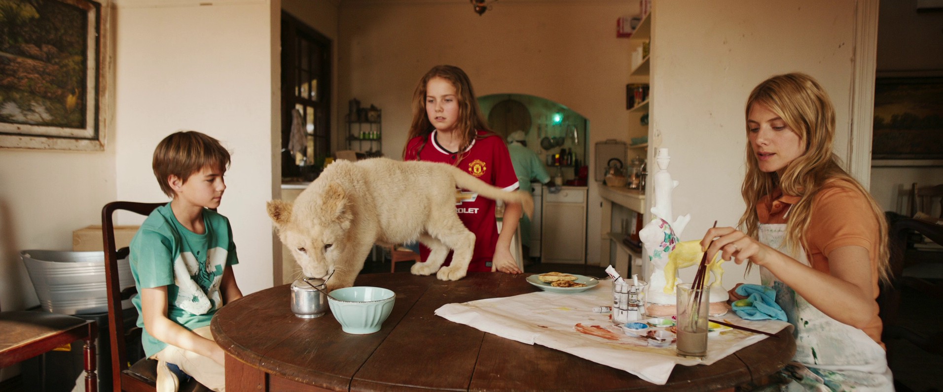 Mia and the White Lion (2018) —  shot,  lighting
