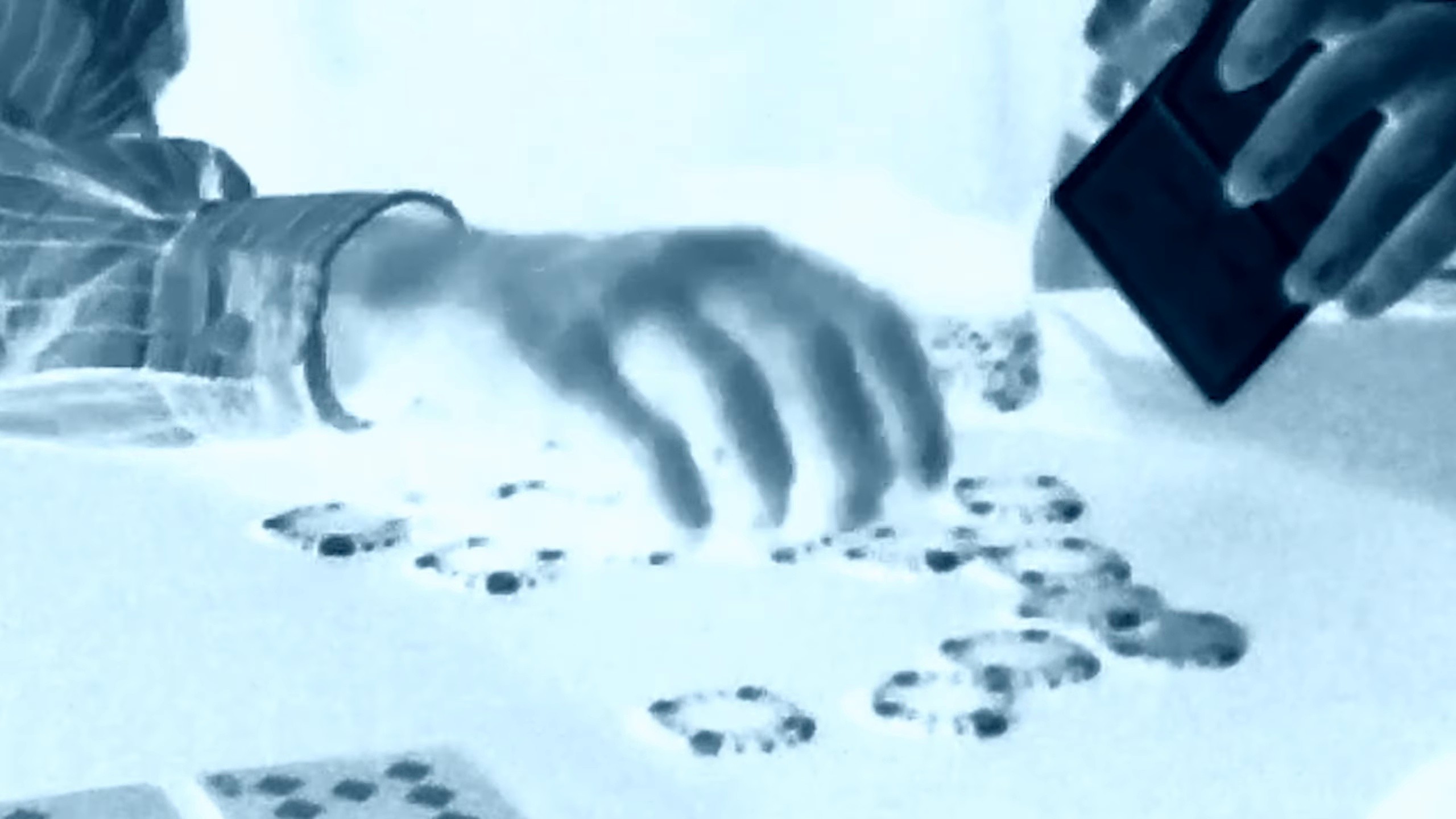 MERCI BEAUCOUP (2024) —  shot,  lighting