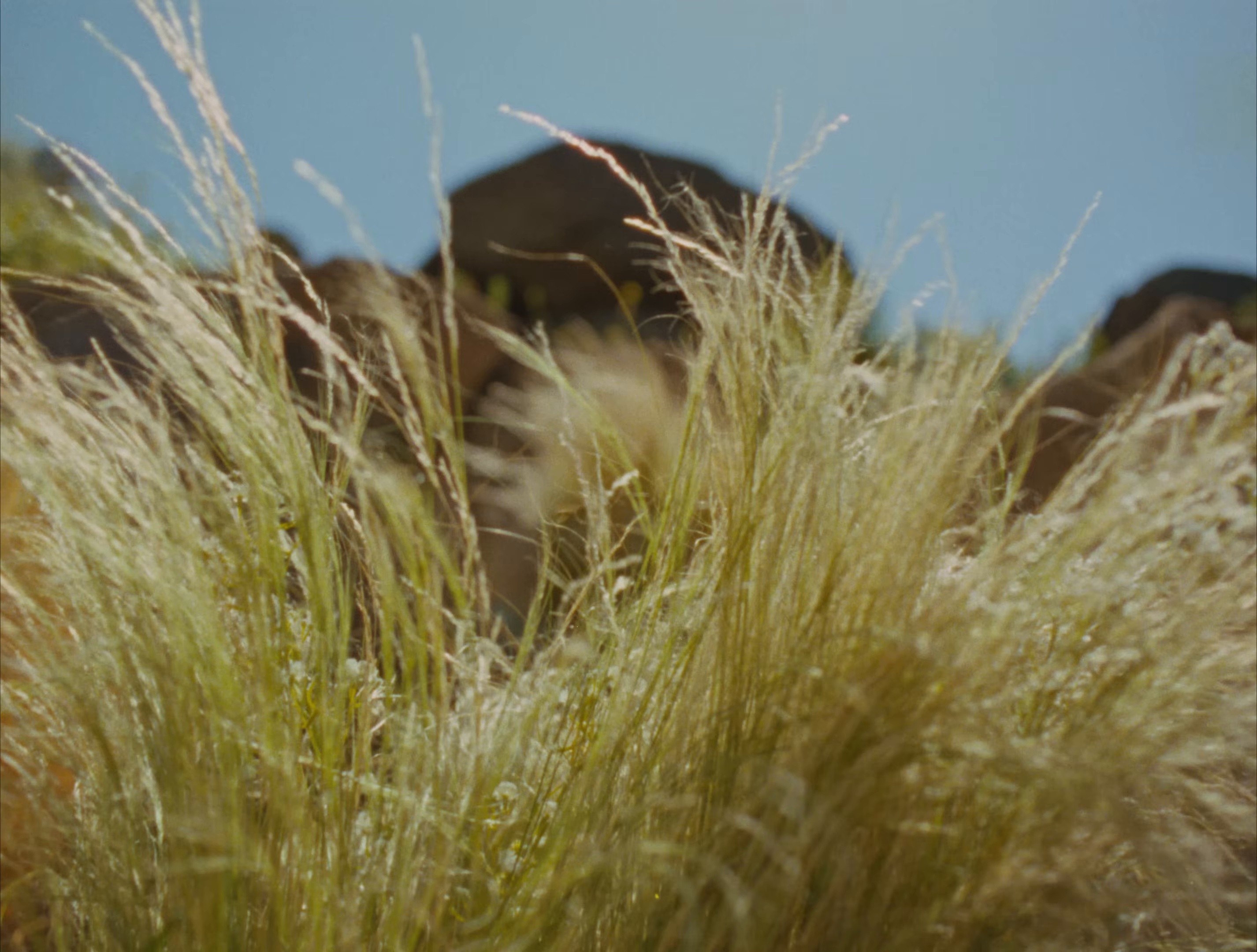 The Architect (2024) —  shot,  lighting