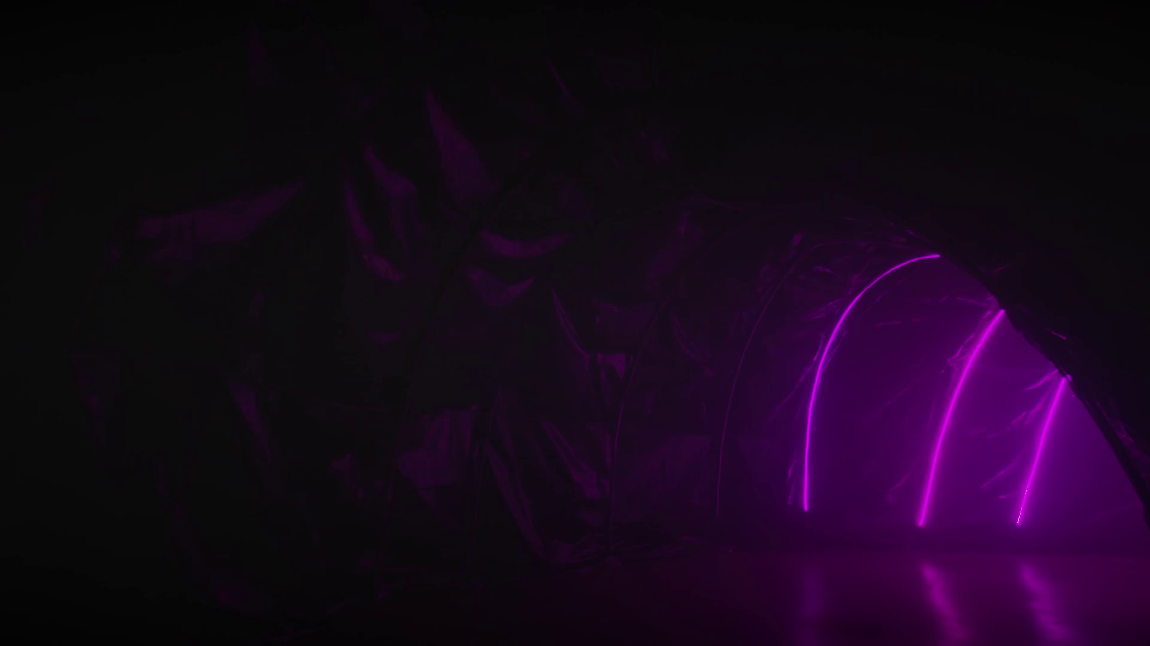 Hot Blooded (2022) —  shot,  lighting