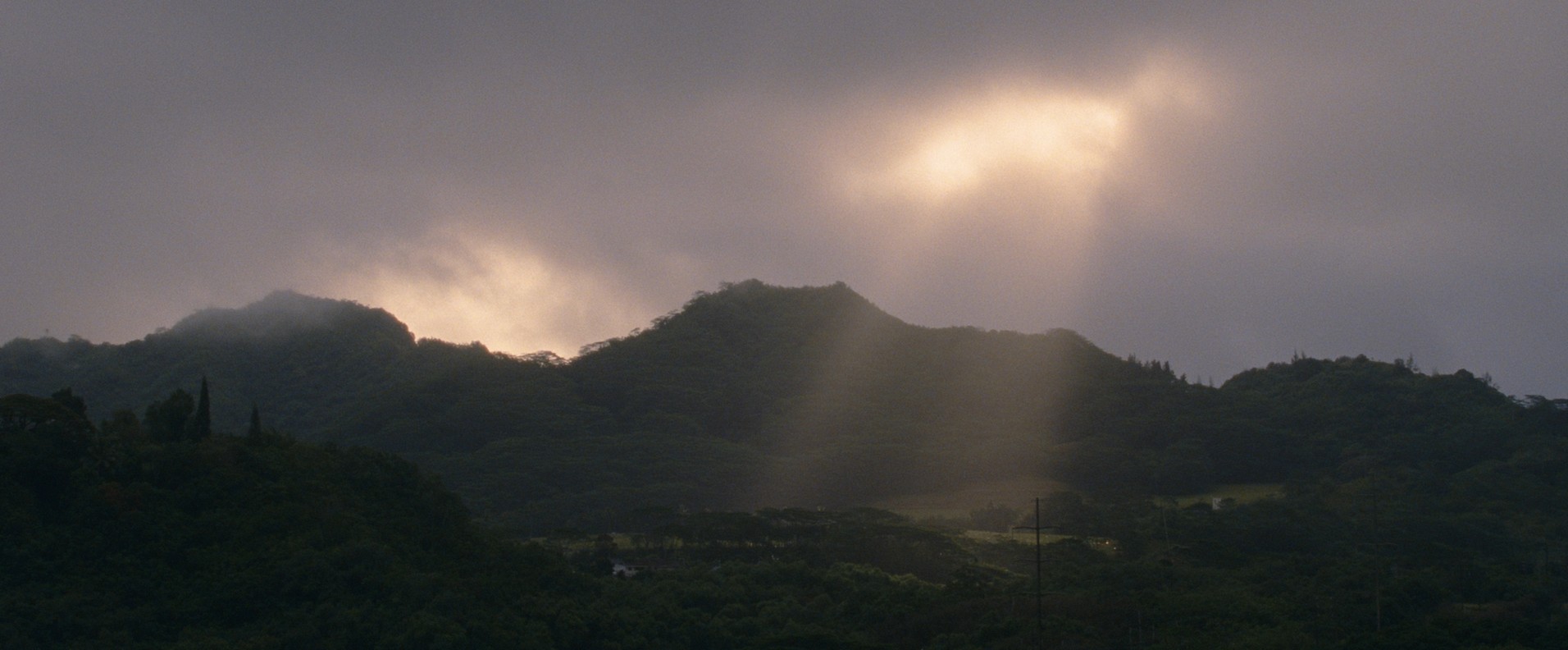 The Descendants (2011) —  shot,  lighting